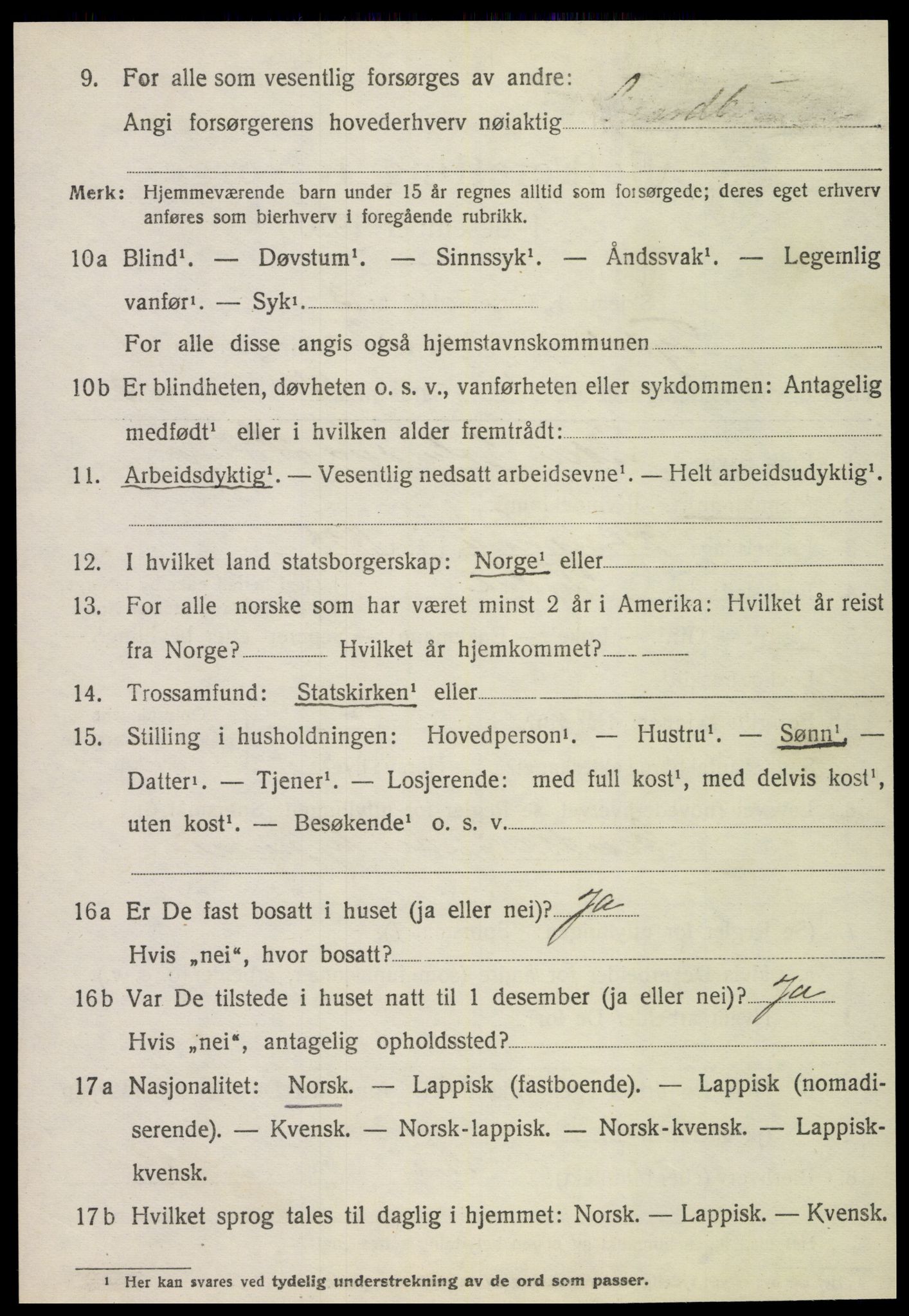 SAT, 1920 census for Tydal, 1920, p. 314