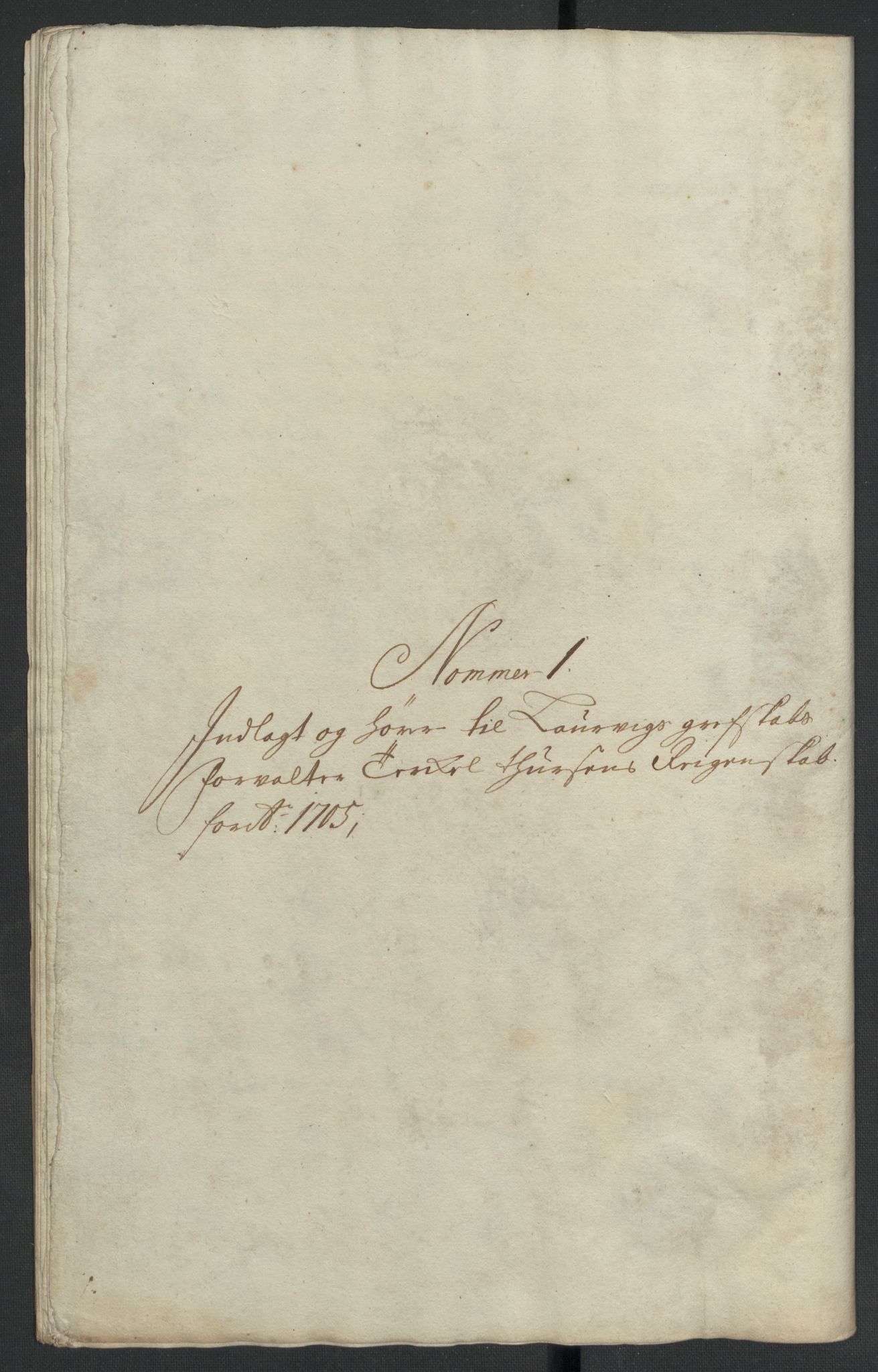 Rentekammeret inntil 1814, Reviderte regnskaper, Fogderegnskap, RA/EA-4092/R33/L1978: Fogderegnskap Larvik grevskap, 1704-1705, p. 277