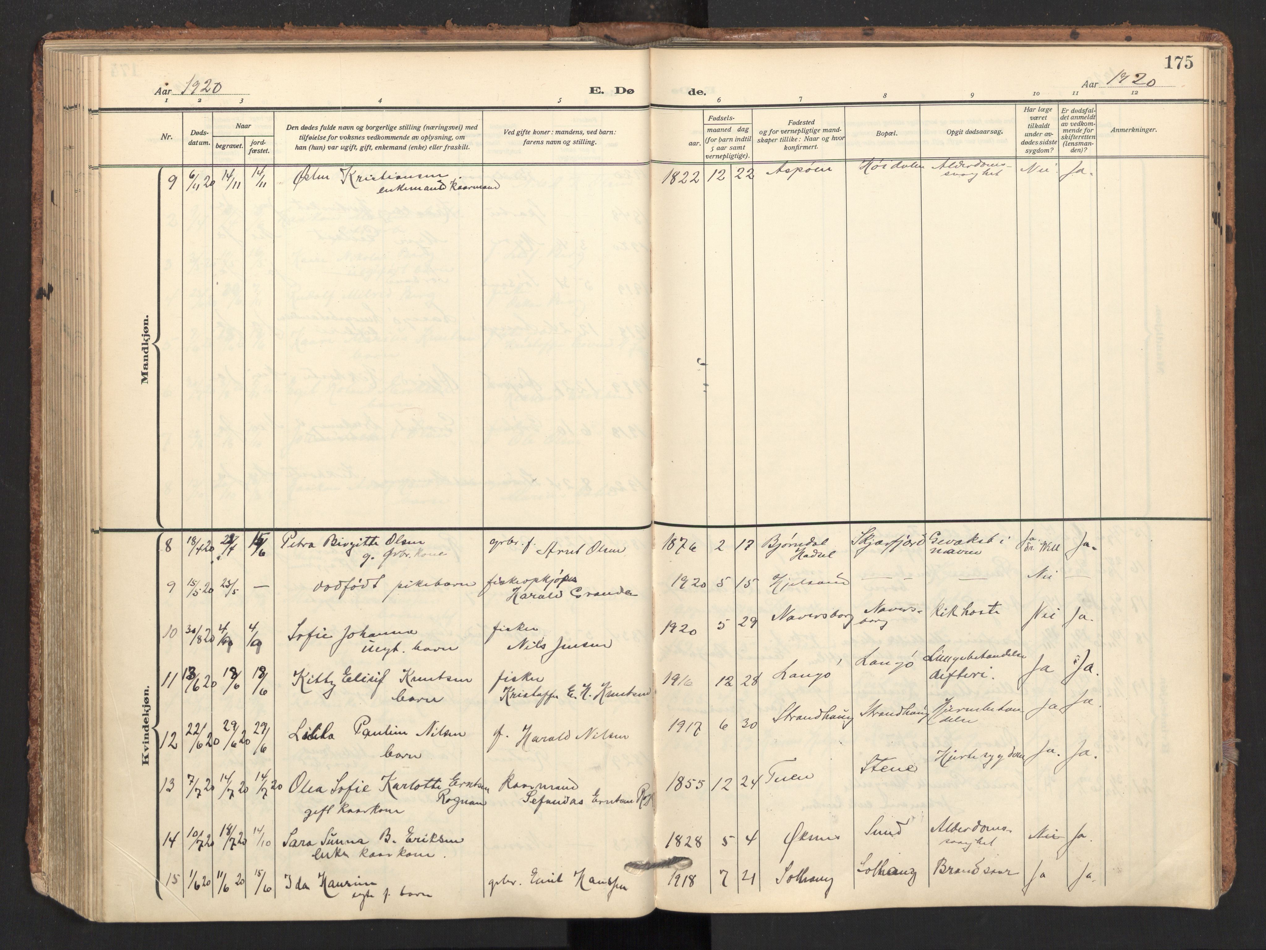 Ministerialprotokoller, klokkerbøker og fødselsregistre - Nordland, AV/SAT-A-1459/893/L1343: Parish register (official) no. 893A15, 1914-1928, p. 175