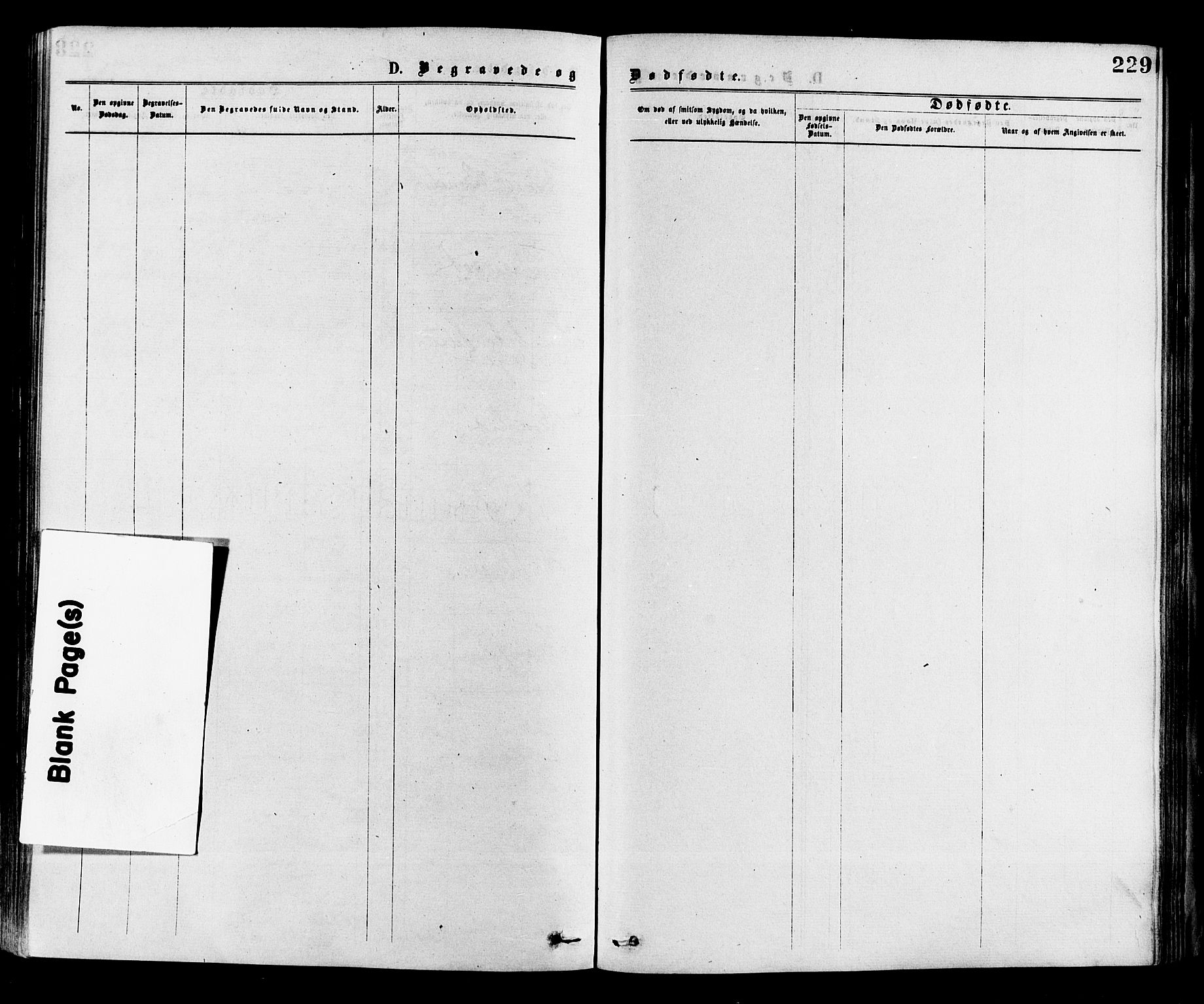 Strømsø kirkebøker, AV/SAKO-A-246/F/Fa/L0019: Parish register (official) no. I 19, 1874-1877, p. 229