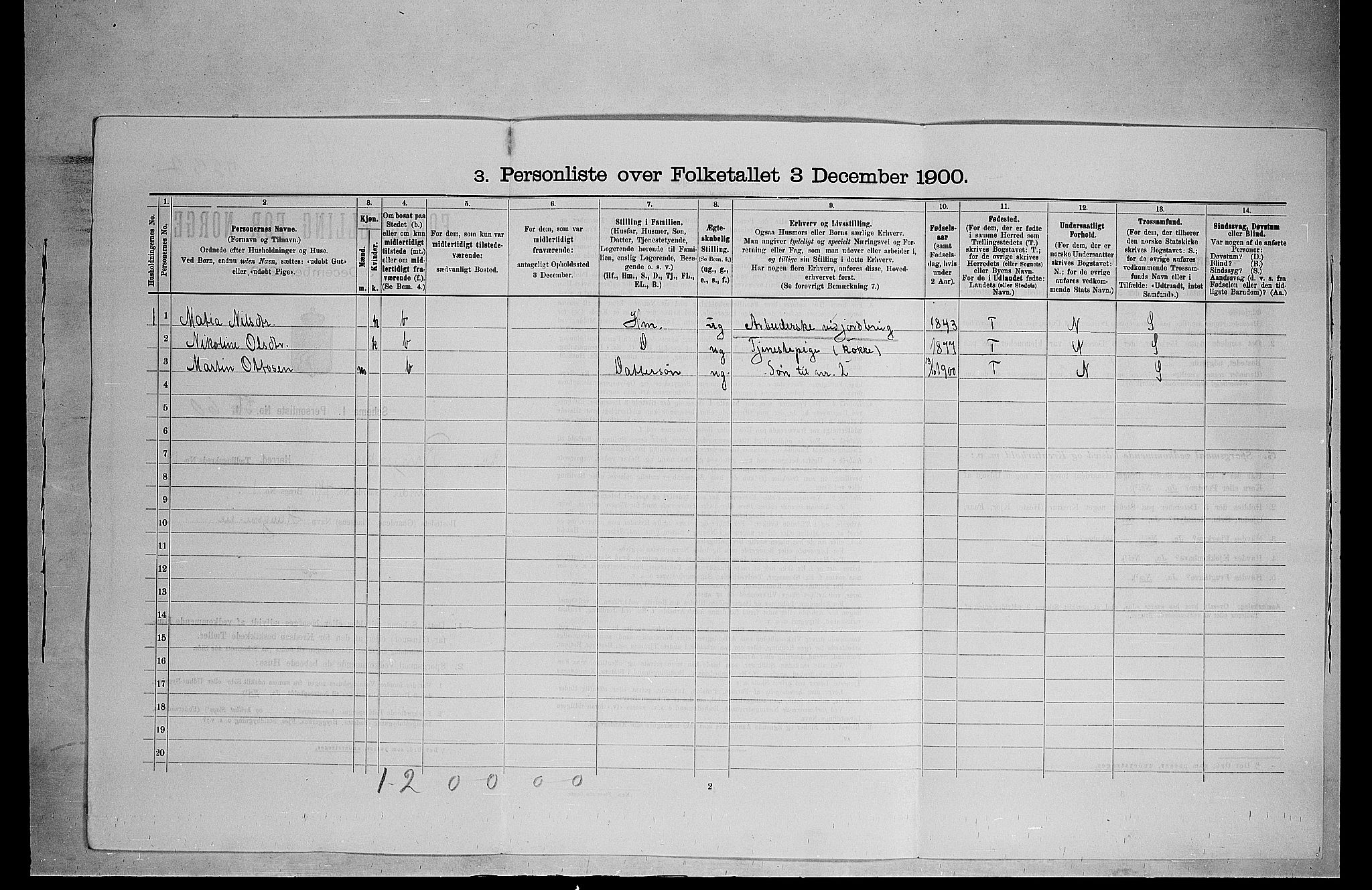 SAH, 1900 census for Ringsaker, 1900, p. 245