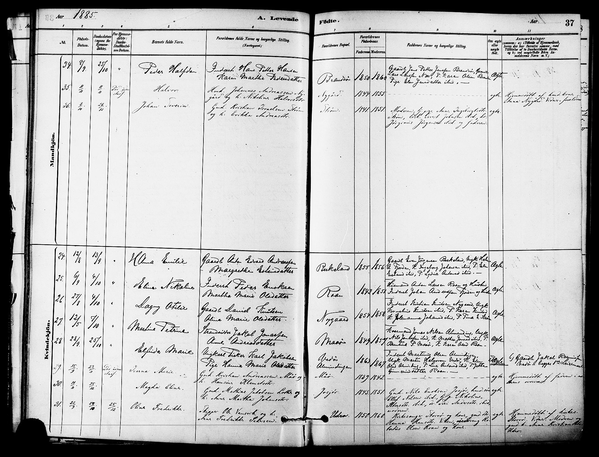 Ministerialprotokoller, klokkerbøker og fødselsregistre - Sør-Trøndelag, SAT/A-1456/657/L0707: Parish register (official) no. 657A08, 1879-1893, p. 37