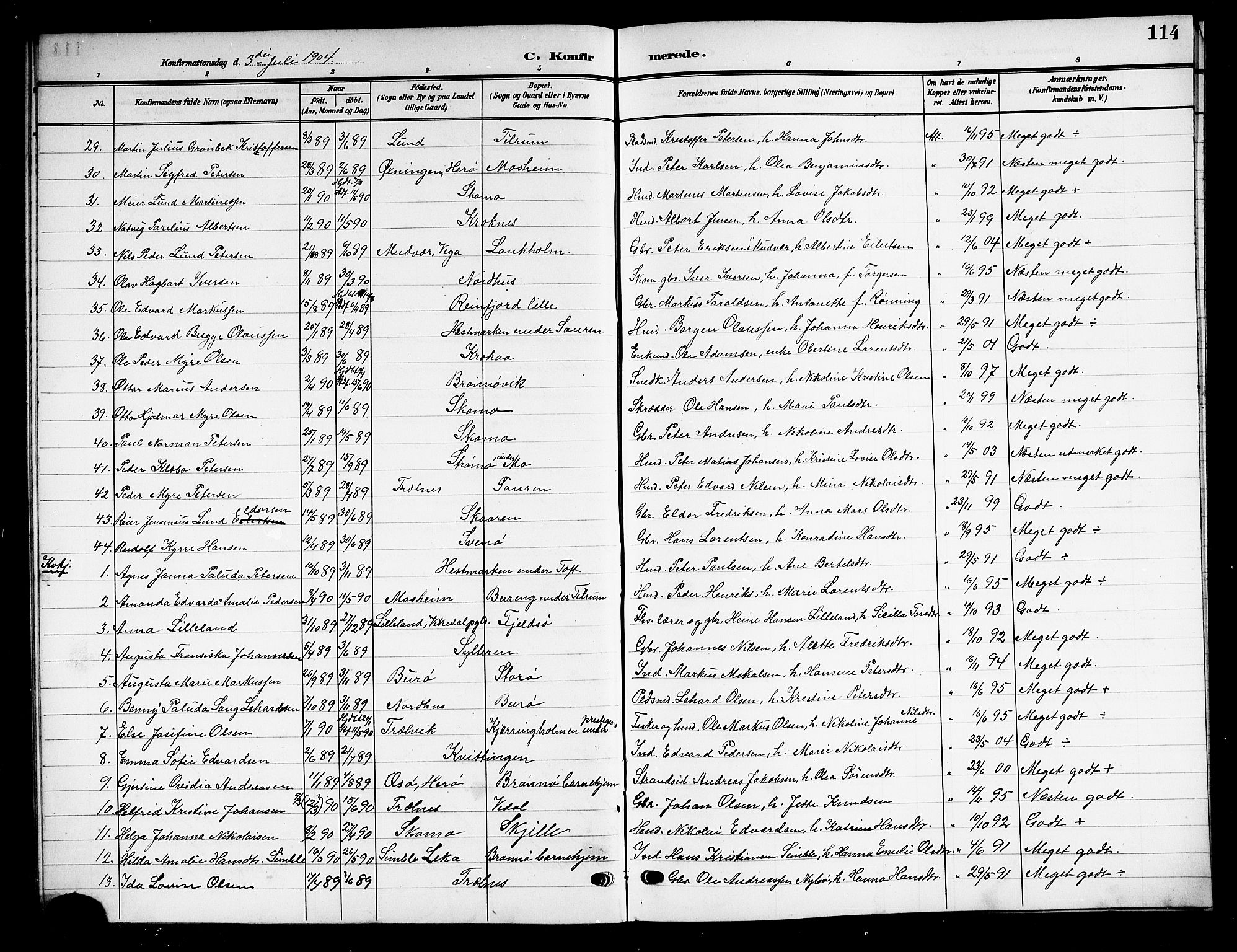 Ministerialprotokoller, klokkerbøker og fødselsregistre - Nordland, SAT/A-1459/813/L0214: Parish register (copy) no. 813C06, 1904-1917, p. 114