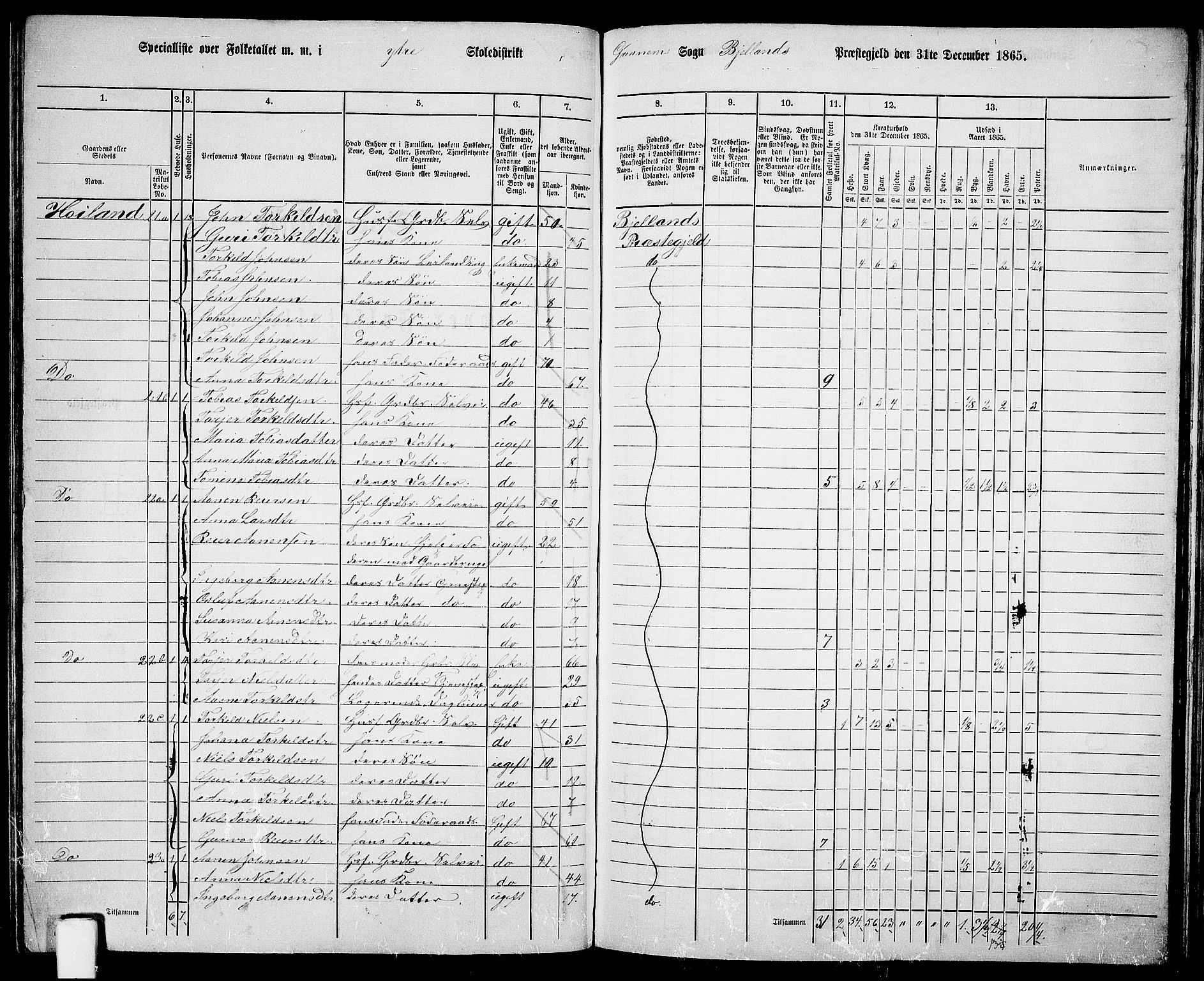 RA, 1865 census for Bjelland, 1865, p. 48