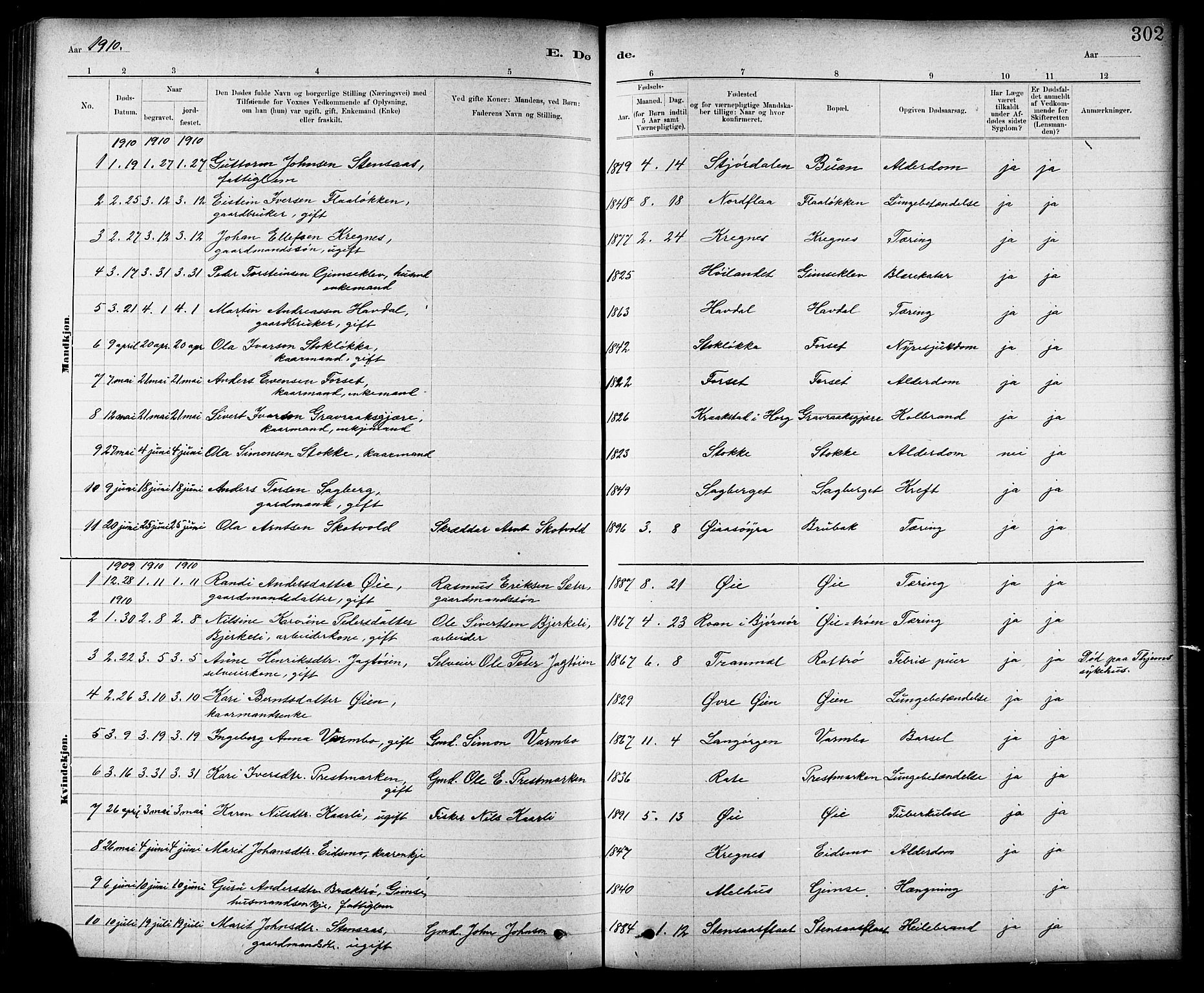 Ministerialprotokoller, klokkerbøker og fødselsregistre - Sør-Trøndelag, SAT/A-1456/691/L1094: Parish register (copy) no. 691C05, 1879-1911, p. 302