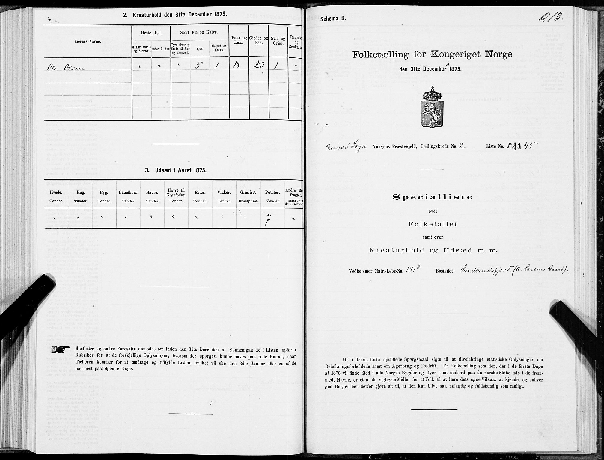 SAT, 1875 census for 1865P Vågan, 1875, p. 5213