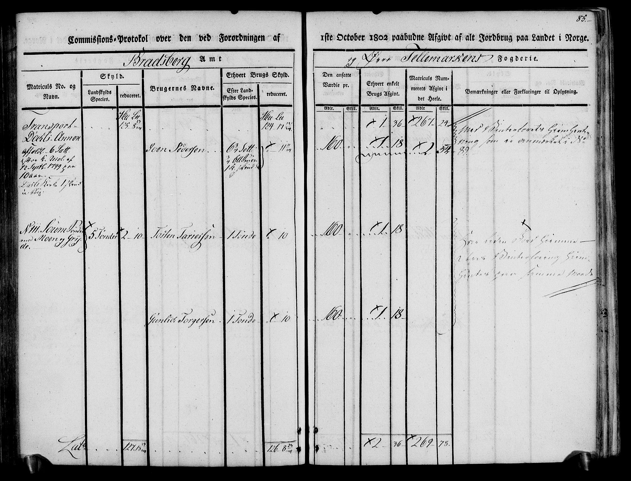 Rentekammeret inntil 1814, Realistisk ordnet avdeling, AV/RA-EA-4070/N/Ne/Nea/L0074: Øvre Telemarken fogderi. Kommisjonsprotokoll for fogderiets østre del - Tinn, Hjartdal og Seljord prestegjeld., 1803, p. 85