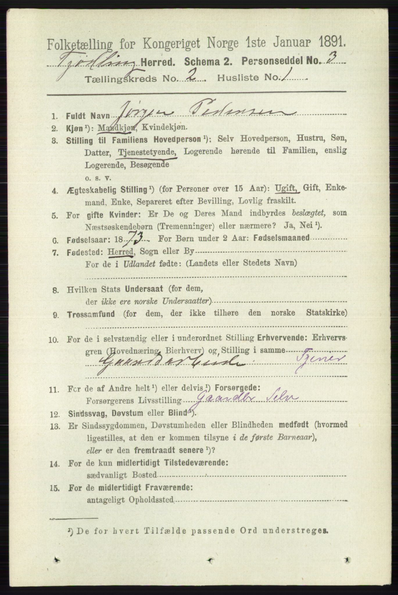 RA, 1891 census for 0725 Tjølling, 1891, p. 502