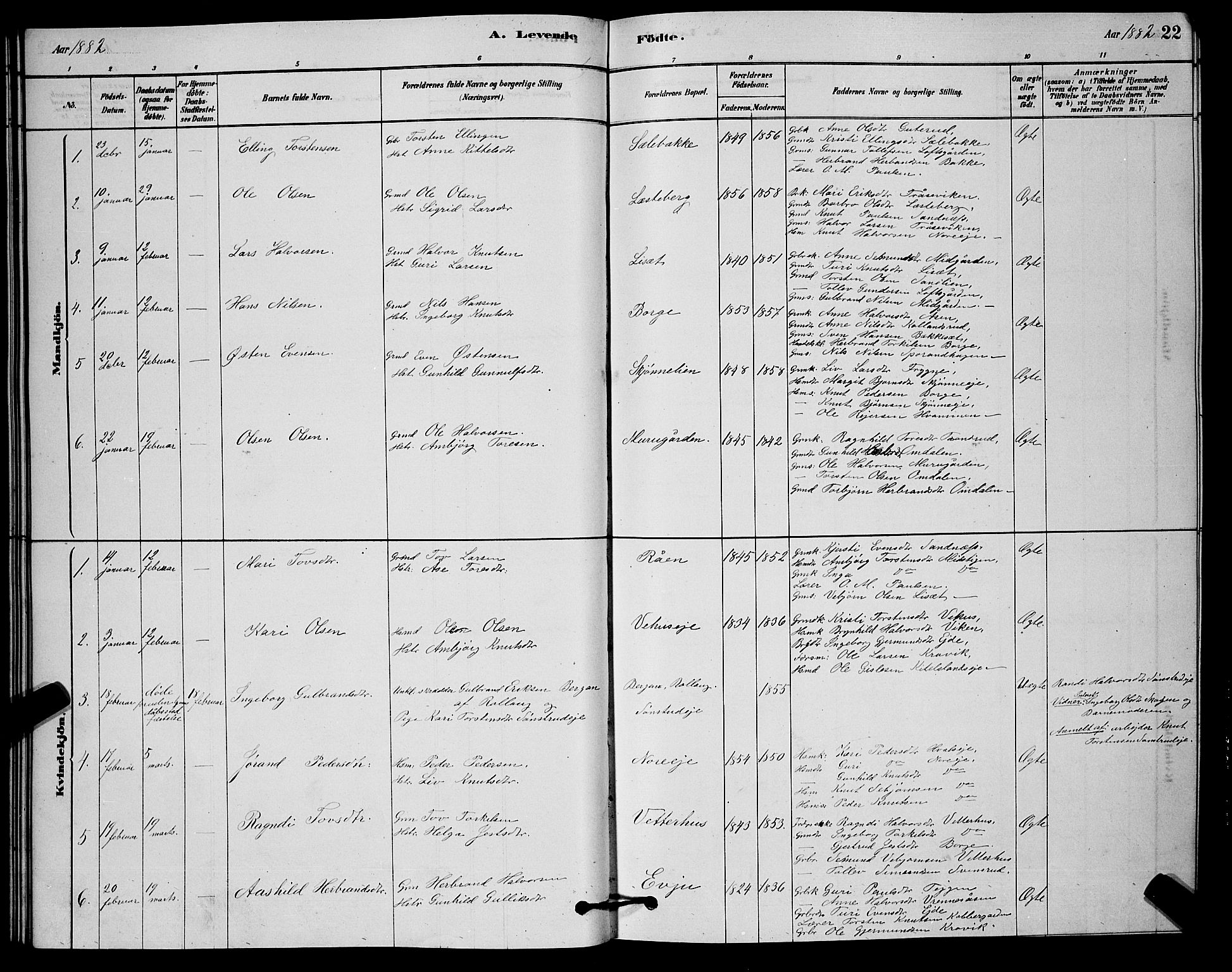 Nore kirkebøker, AV/SAKO-A-238/G/Ga/L0002: Parish register (copy) no. I 2, 1878-1885, p. 22