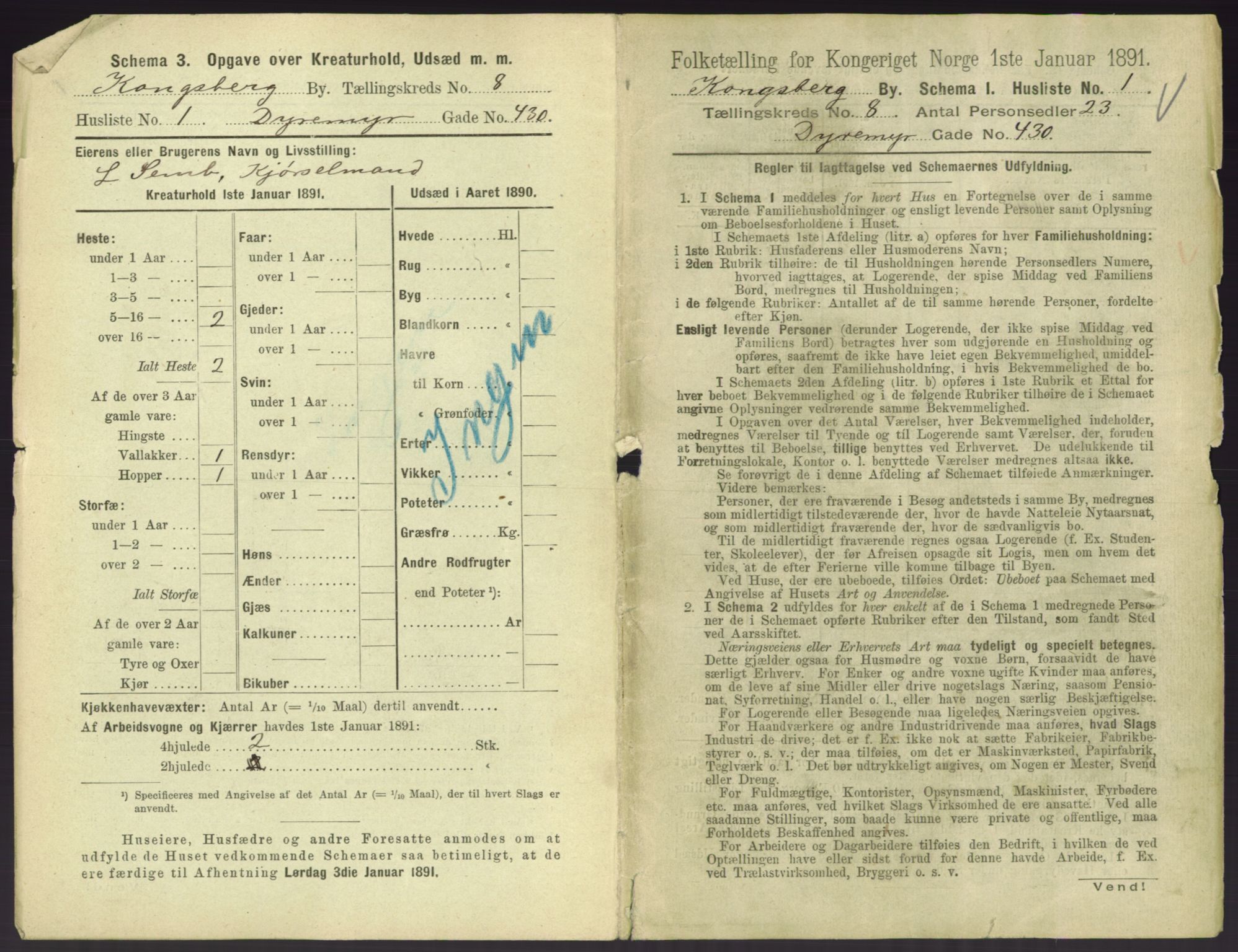 RA, 1891 census for 0604 Kongsberg, 1891, p. 1091