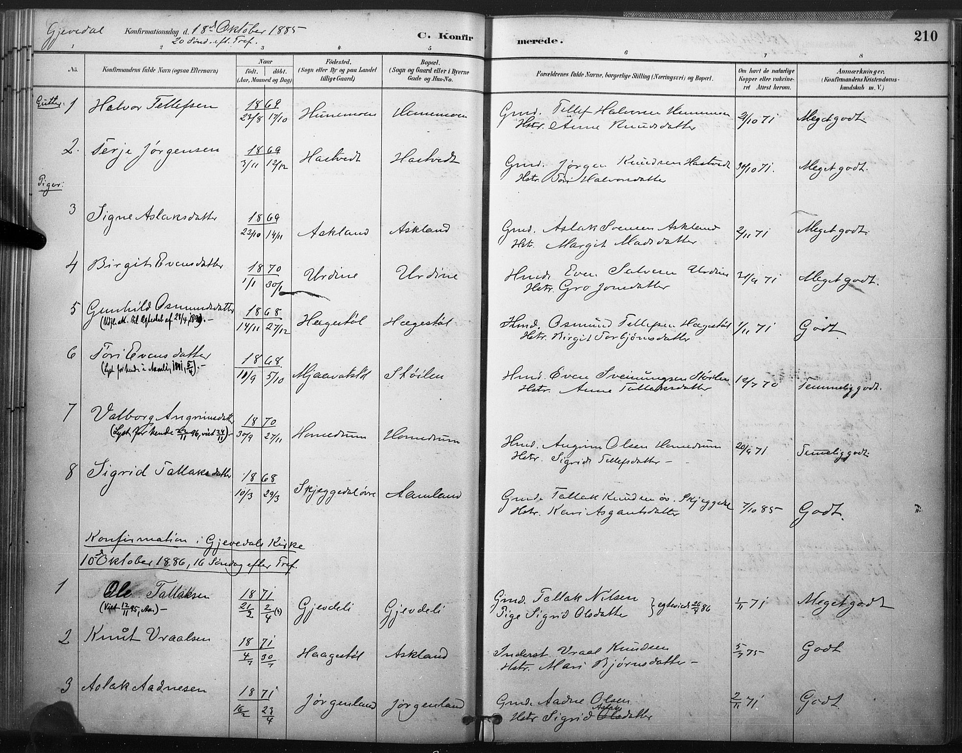 Åmli sokneprestkontor, AV/SAK-1111-0050/F/Fa/Fac/L0010: Parish register (official) no. A 10 /2, 1885-1899, p. 210