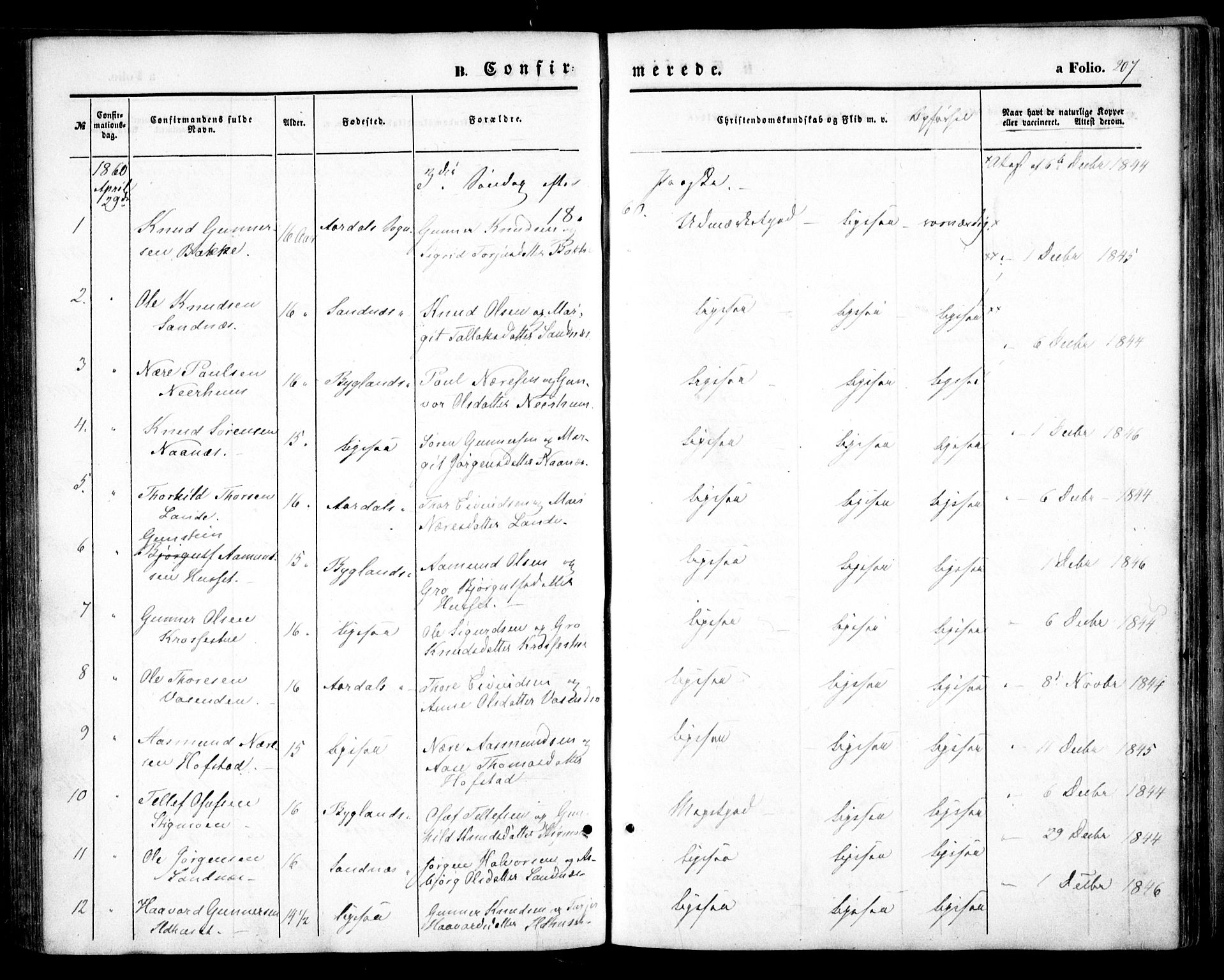 Bygland sokneprestkontor, SAK/1111-0006/F/Fa/Fab/L0005: Parish register (official) no. A 5, 1859-1873, p. 207