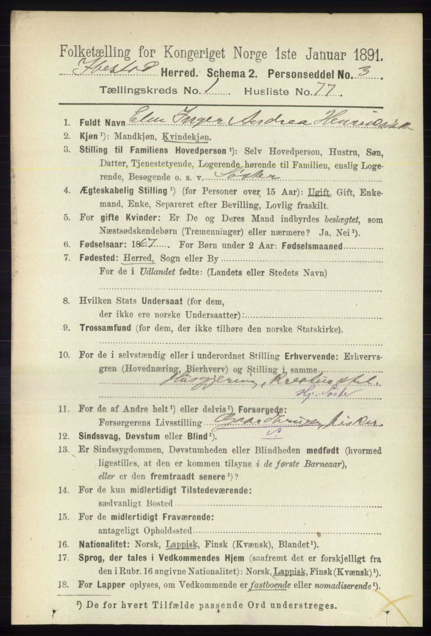 RA, 1891 census for 1917 Ibestad, 1891, p. 651