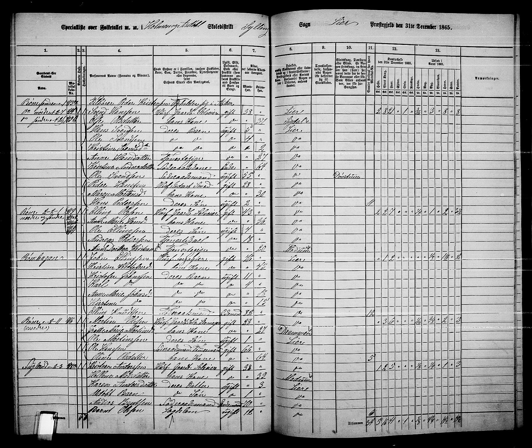 RA, 1865 census for Lier, 1865, p. 235