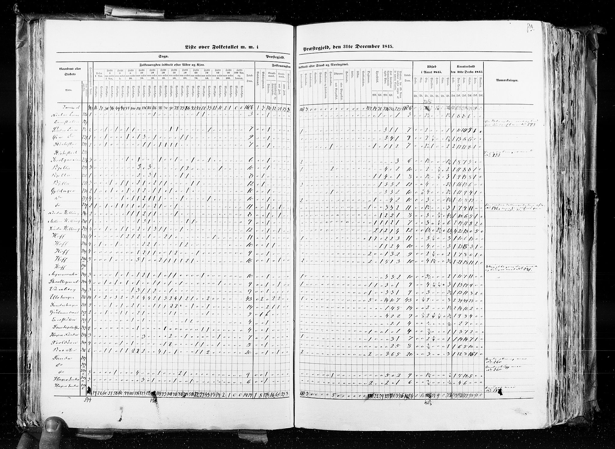 RA, Census 1845, vol. 4: Buskerud amt og Jarlsberg og Larvik amt, 1845, p. 83