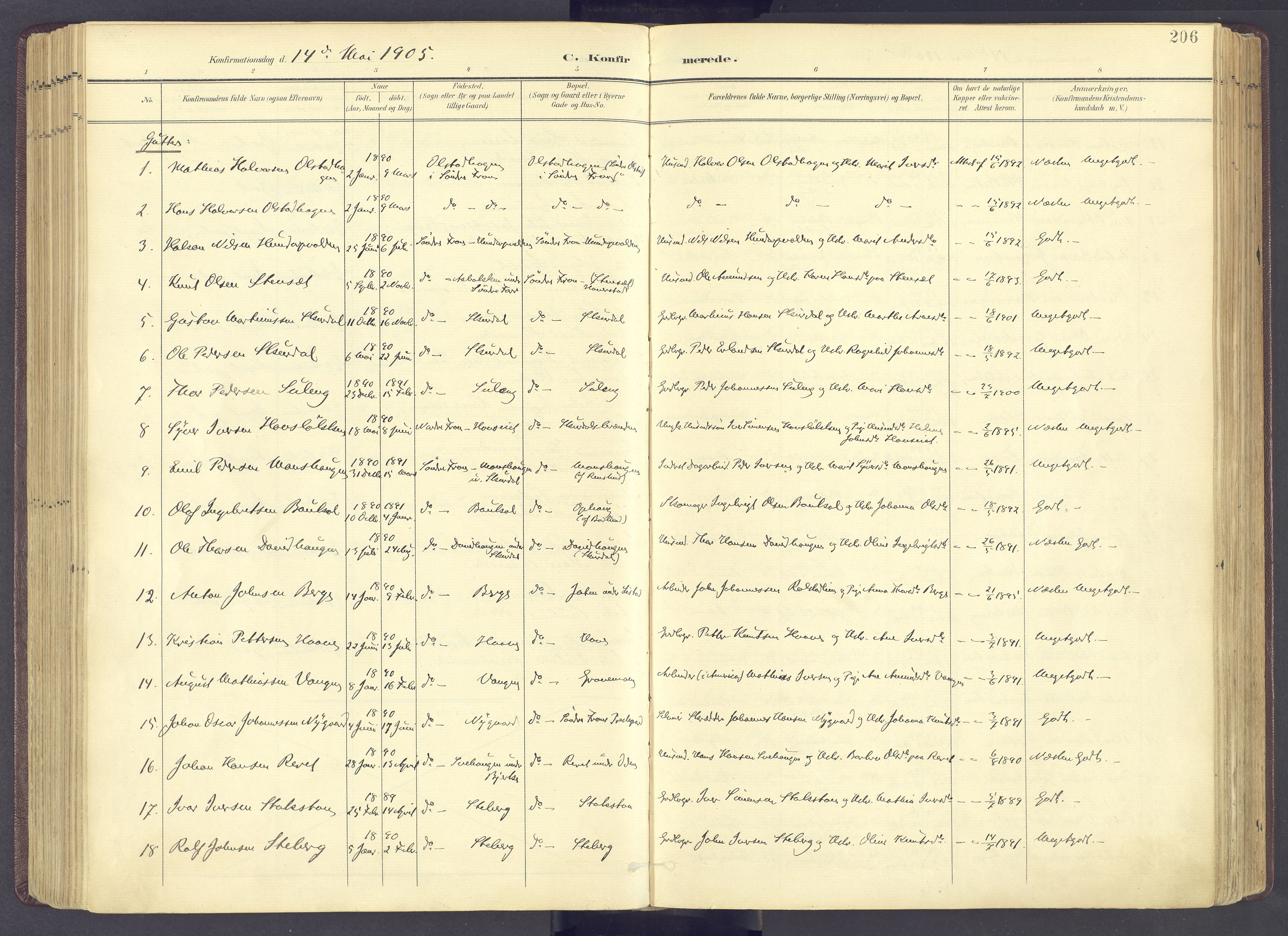 Sør-Fron prestekontor, SAH/PREST-010/H/Ha/Haa/L0004: Parish register (official) no. 4, 1898-1919, p. 206