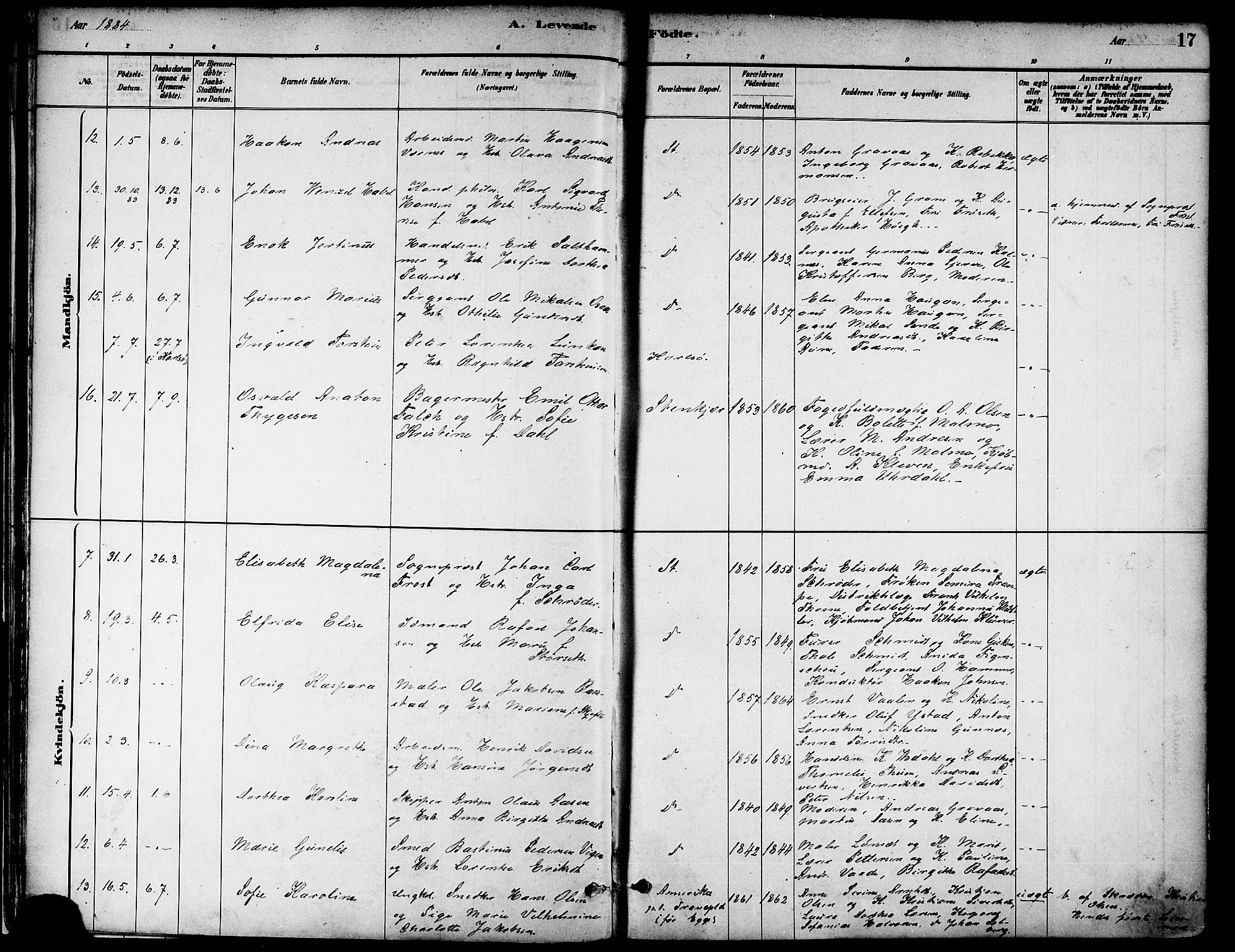 Ministerialprotokoller, klokkerbøker og fødselsregistre - Nord-Trøndelag, AV/SAT-A-1458/739/L0371: Parish register (official) no. 739A03, 1881-1895, p. 17