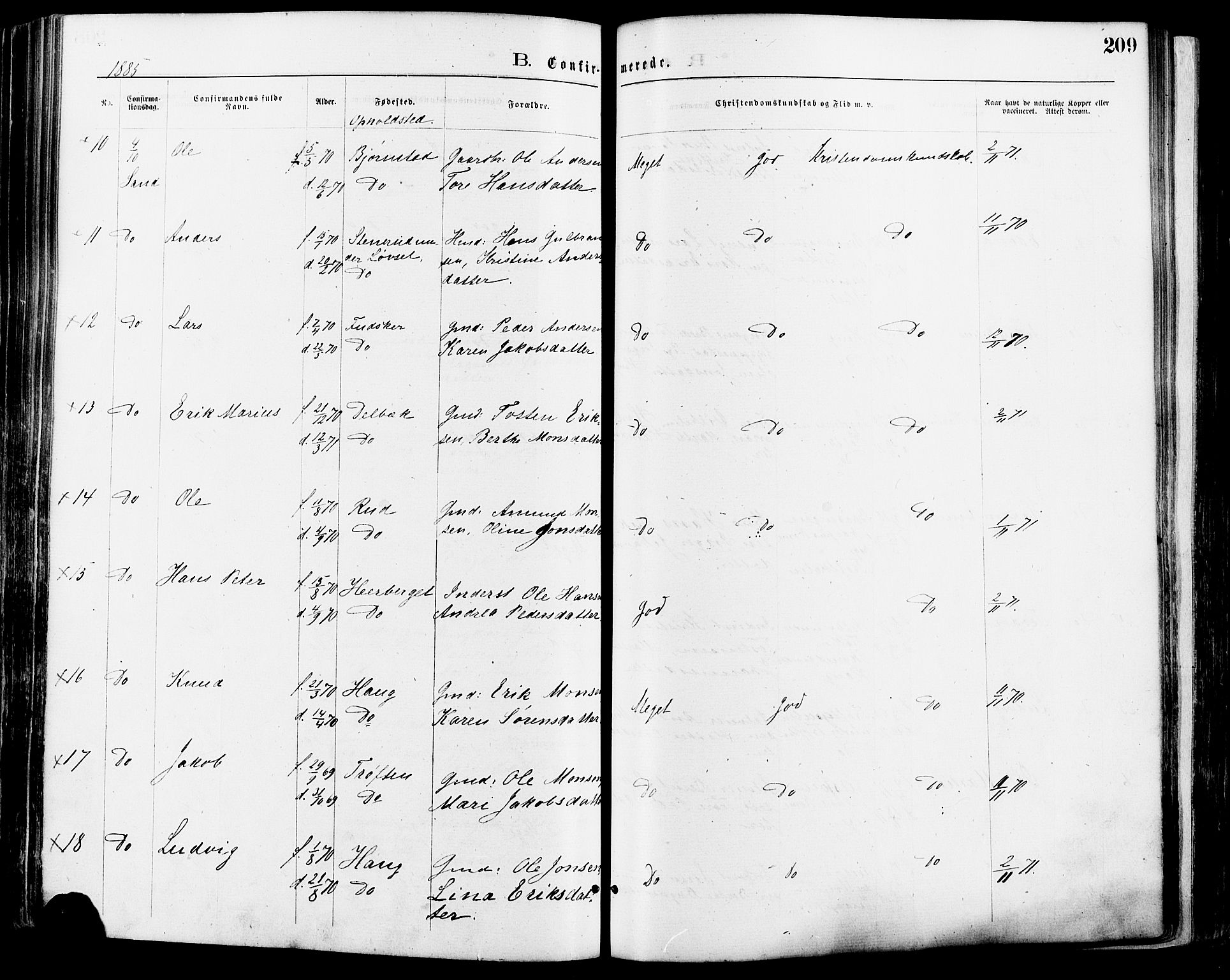 Nord-Odal prestekontor, AV/SAH-PREST-032/H/Ha/Haa/L0005: Parish register (official) no. 5, 1874-1885, p. 209