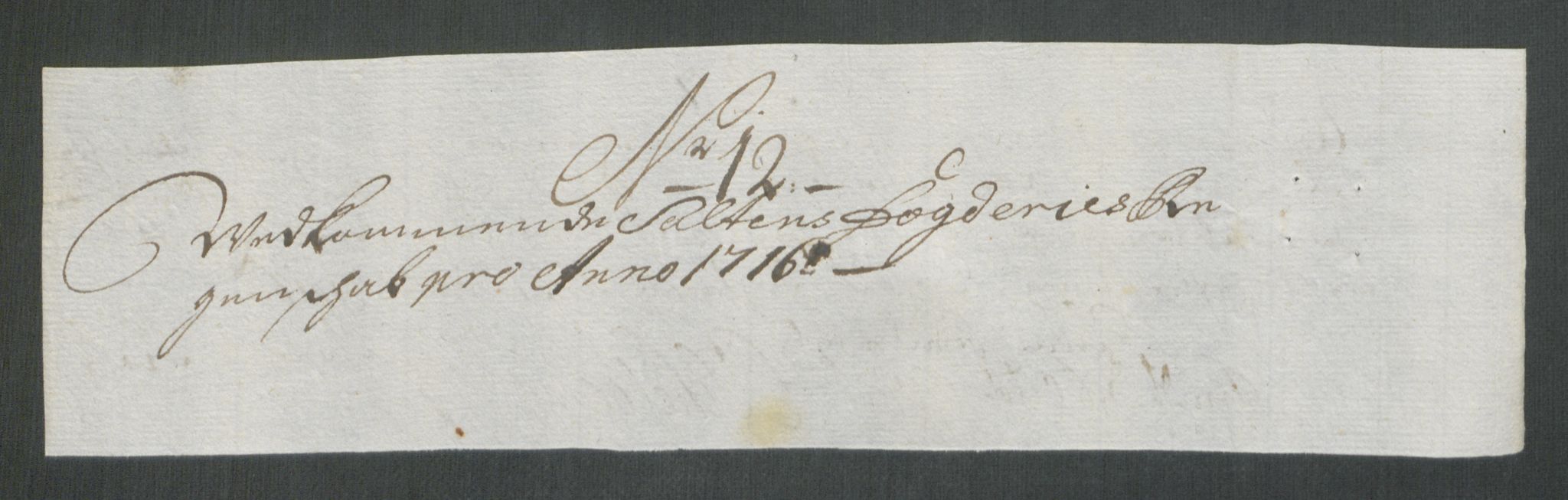 Rentekammeret inntil 1814, Reviderte regnskaper, Fogderegnskap, RA/EA-4092/R66/L4586: Fogderegnskap Salten, 1716, p. 113