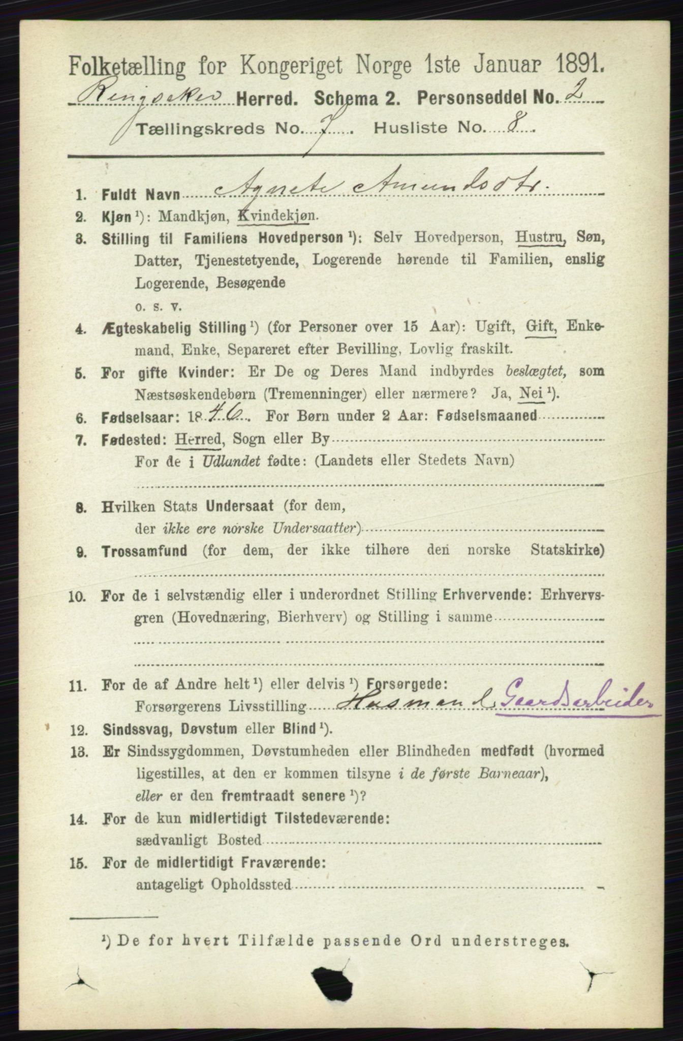 RA, 1891 census for 0412 Ringsaker, 1891, p. 3924