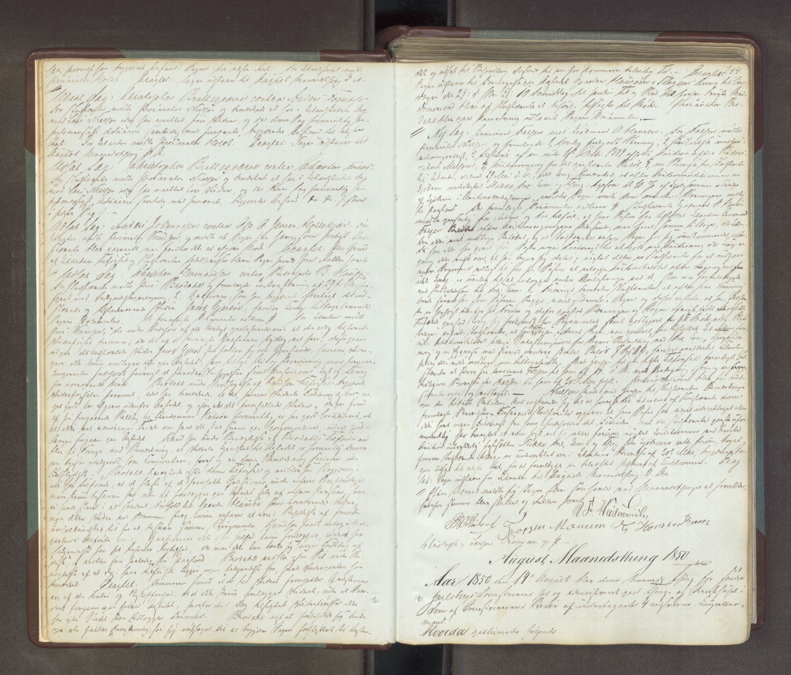 Søndre Jarlsberg sorenskriveri, AV/SAKO-A-129/F/Fa/L0034B: Tingbok, 1850-1856, p. 243b-244a