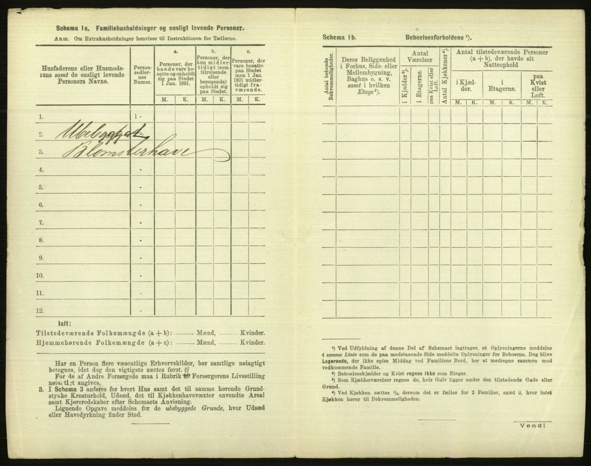 RA, 1891 census for 1001 Kristiansand, 1891, p. 267