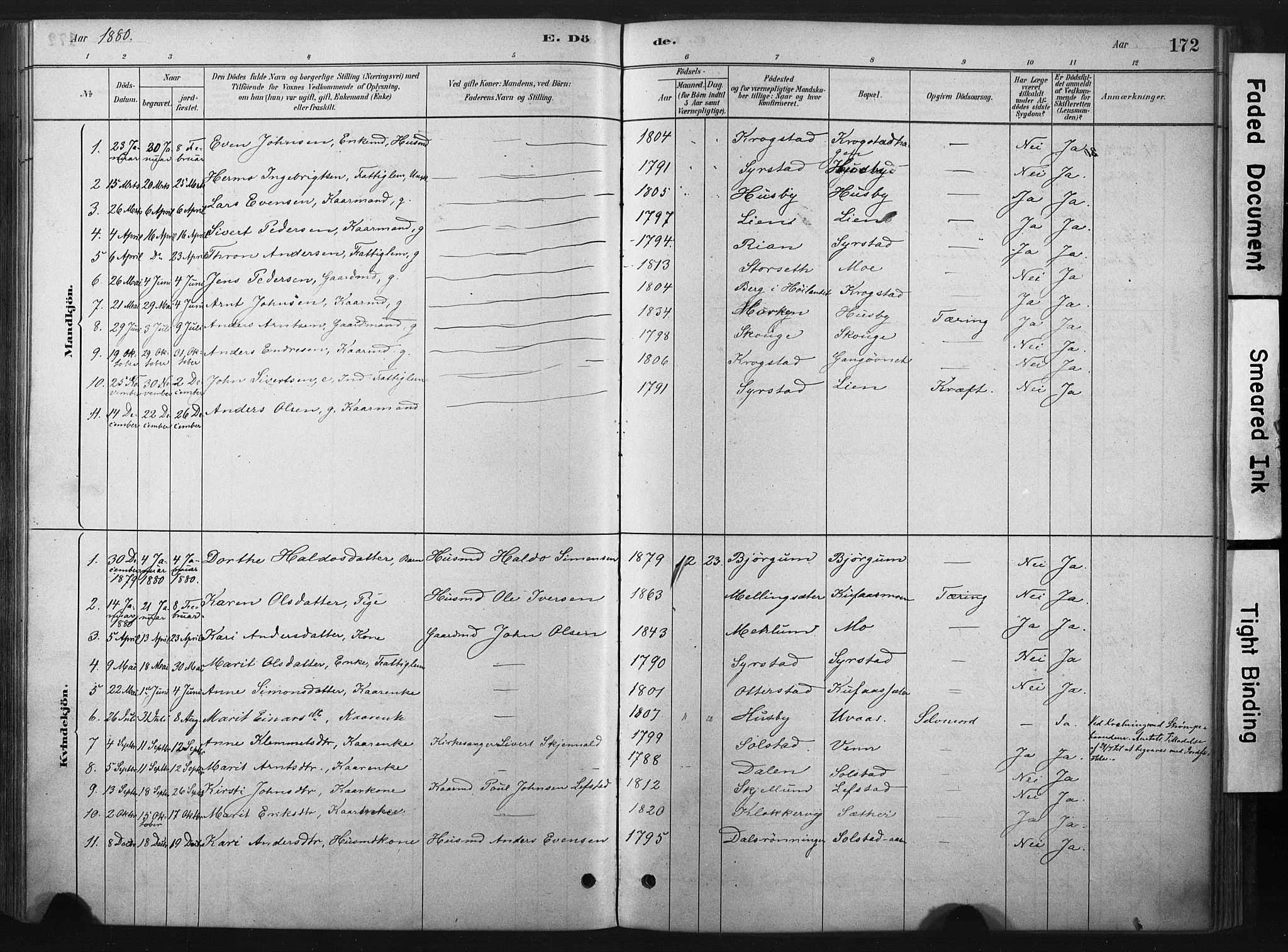 Ministerialprotokoller, klokkerbøker og fødselsregistre - Sør-Trøndelag, AV/SAT-A-1456/667/L0795: Parish register (official) no. 667A03, 1879-1907, p. 172