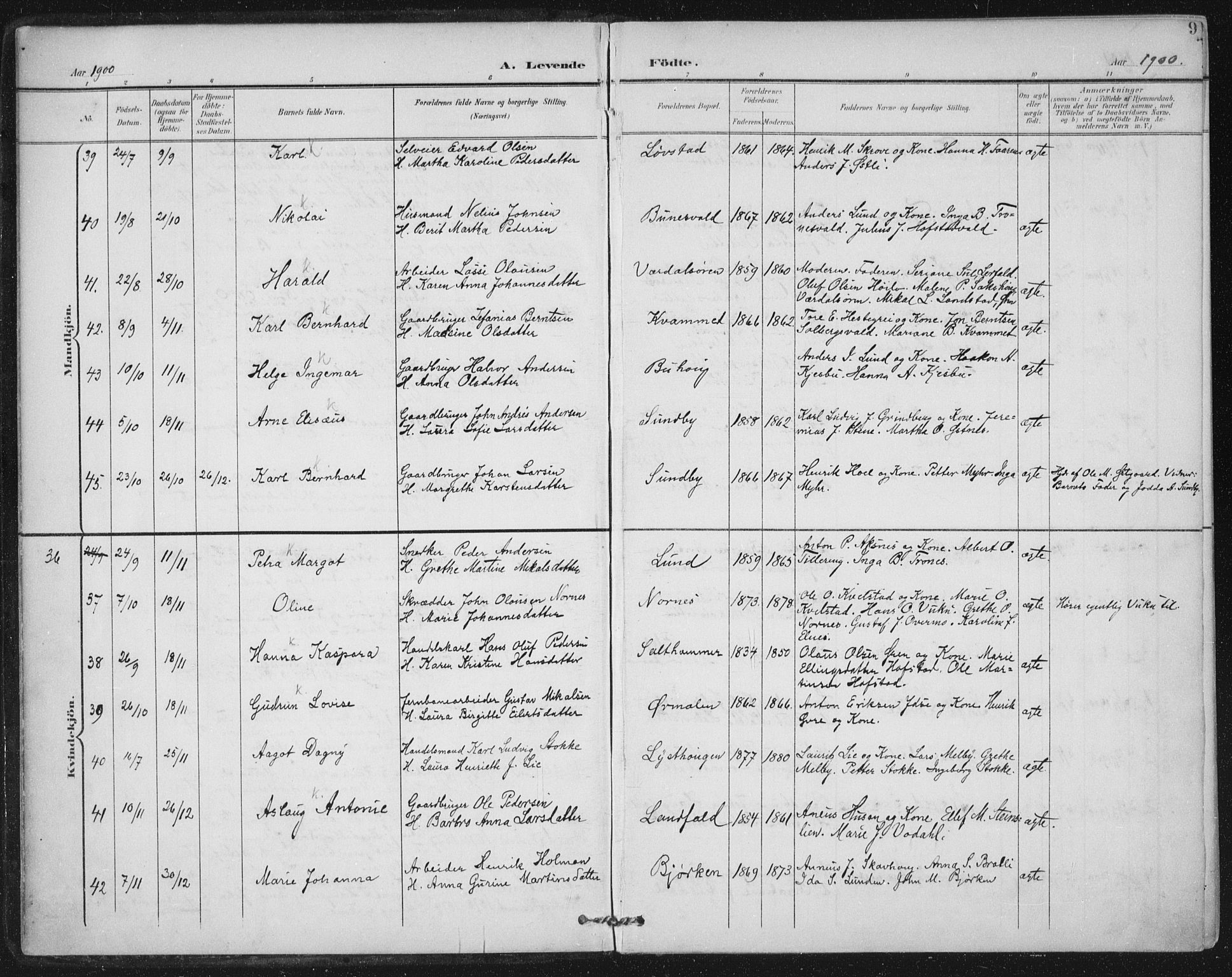 Ministerialprotokoller, klokkerbøker og fødselsregistre - Nord-Trøndelag, SAT/A-1458/723/L0246: Parish register (official) no. 723A15, 1900-1917, p. 9