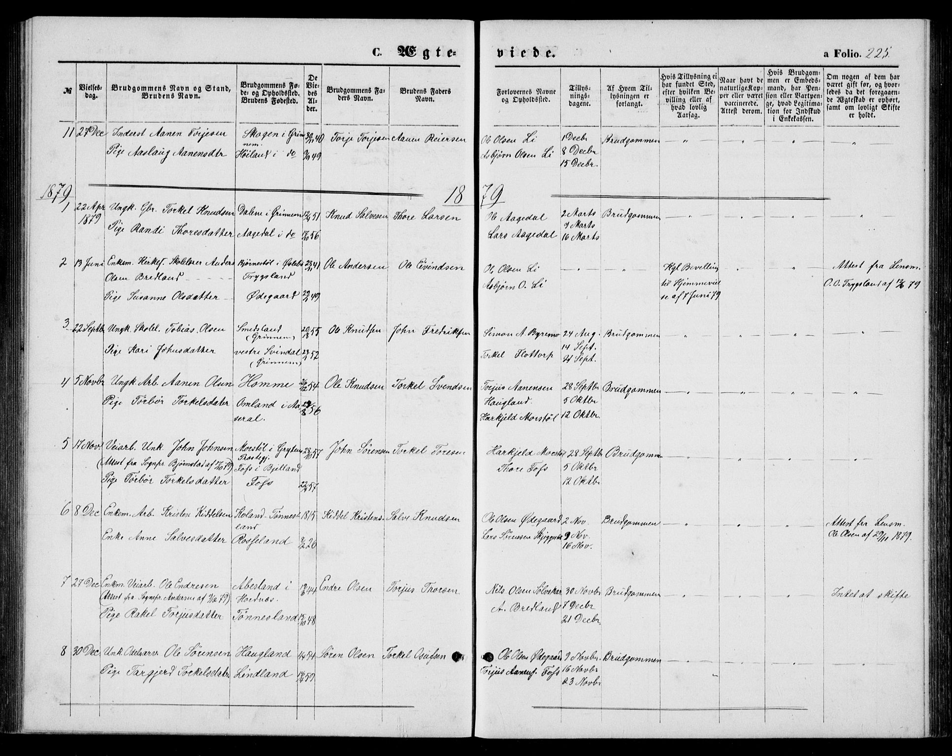 Bjelland sokneprestkontor, AV/SAK-1111-0005/F/Fb/Fba/L0004: Parish register (copy) no. B 4, 1869-1886, p. 225