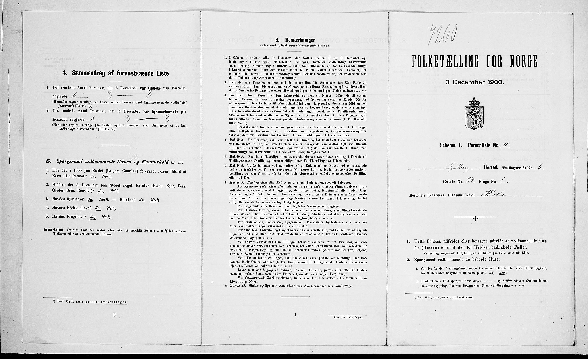 RA, 1900 census for Tjølling, 1900, p. 1031