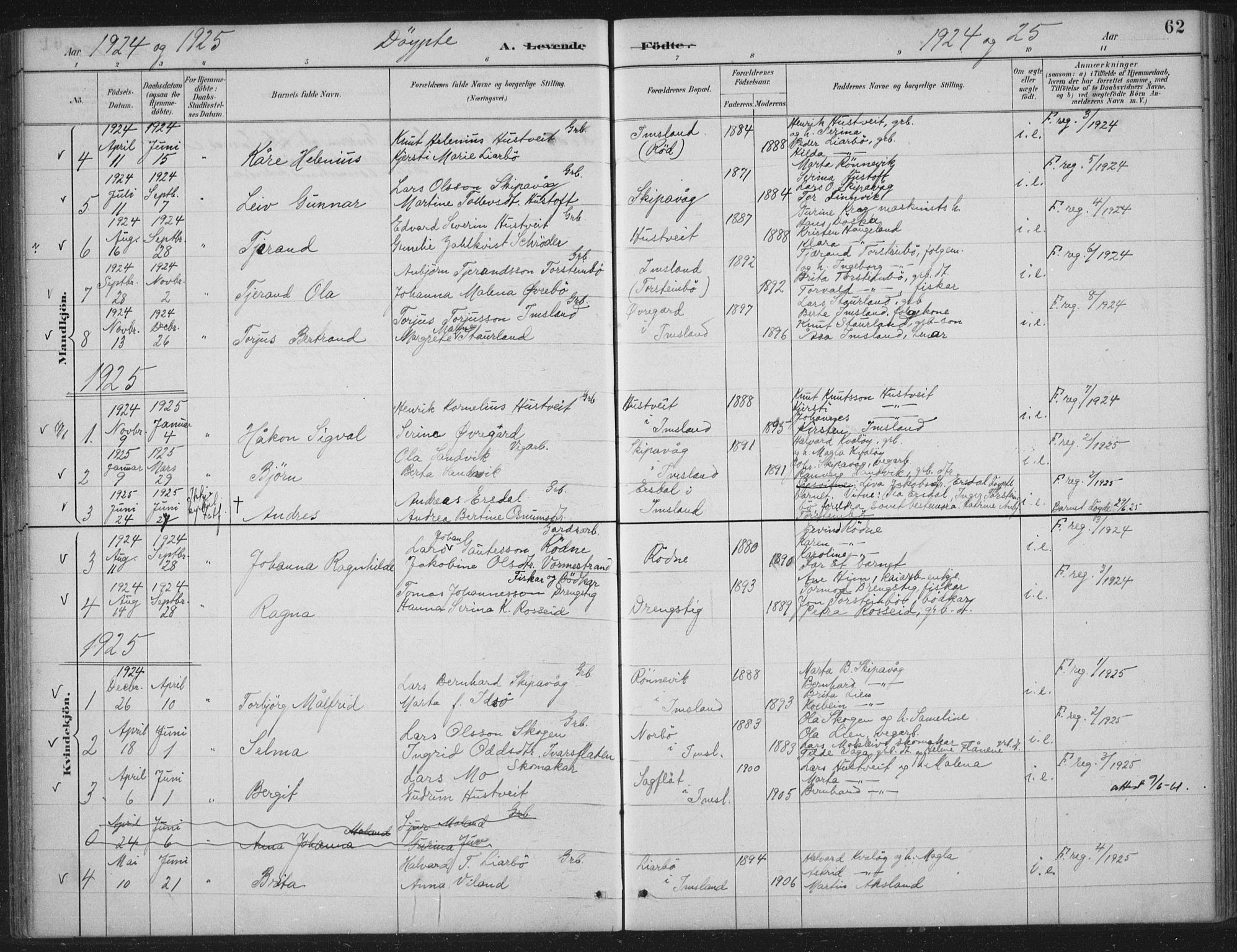 Vikedal sokneprestkontor, AV/SAST-A-101840/01/IV: Parish register (official) no. A 12, 1886-1929, p. 62