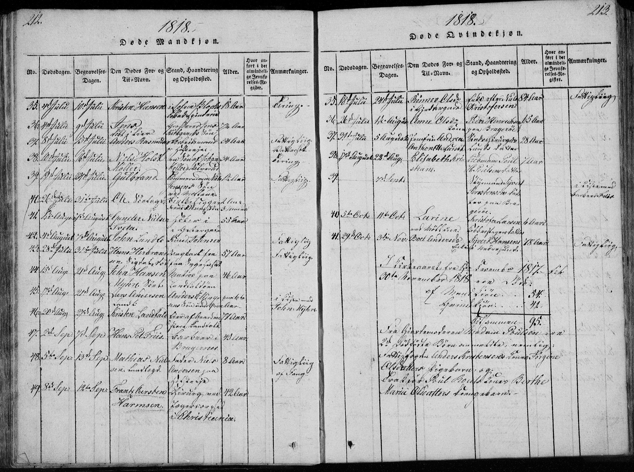 Bragernes kirkebøker, AV/SAKO-A-6/F/Fa/L0007: Parish register (official) no. I 7, 1815-1829, p. 212-213