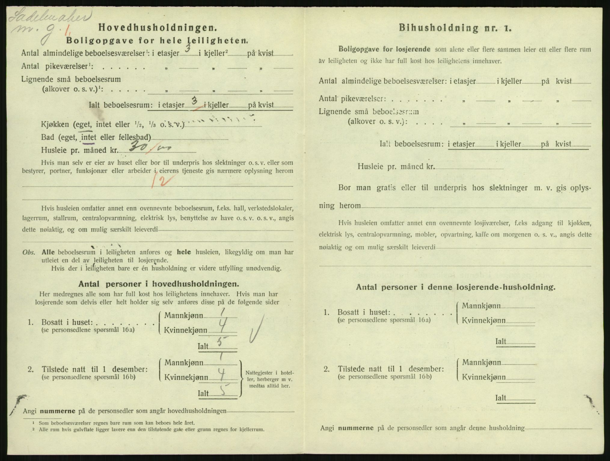 SAH, 1920 census for Lillehammer, 1920, p. 2747