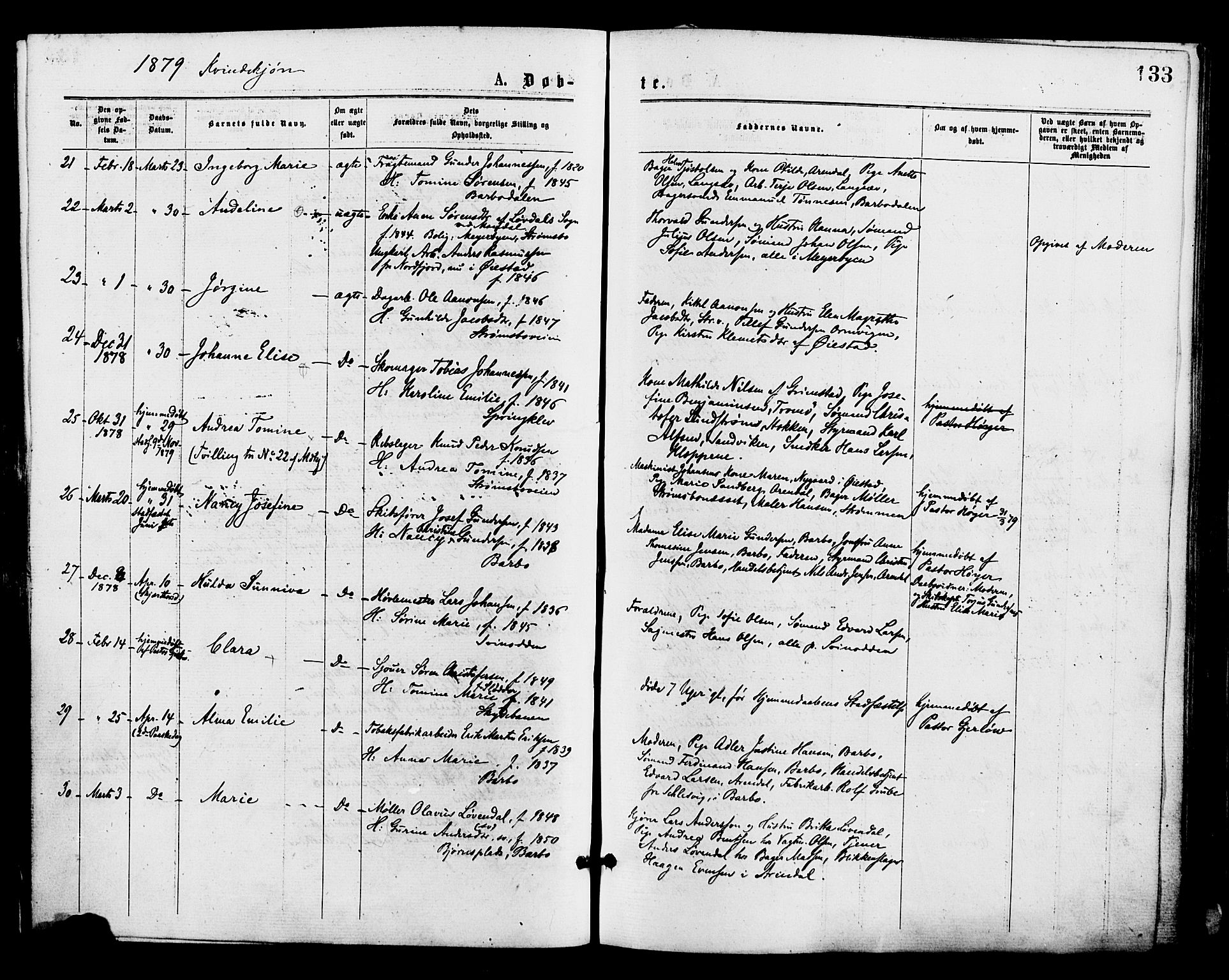 Barbu sokneprestkontor, AV/SAK-1111-0003/F/Fa/L0001: Parish register (official) no. A 1 /1, 1878-1883, p. 133