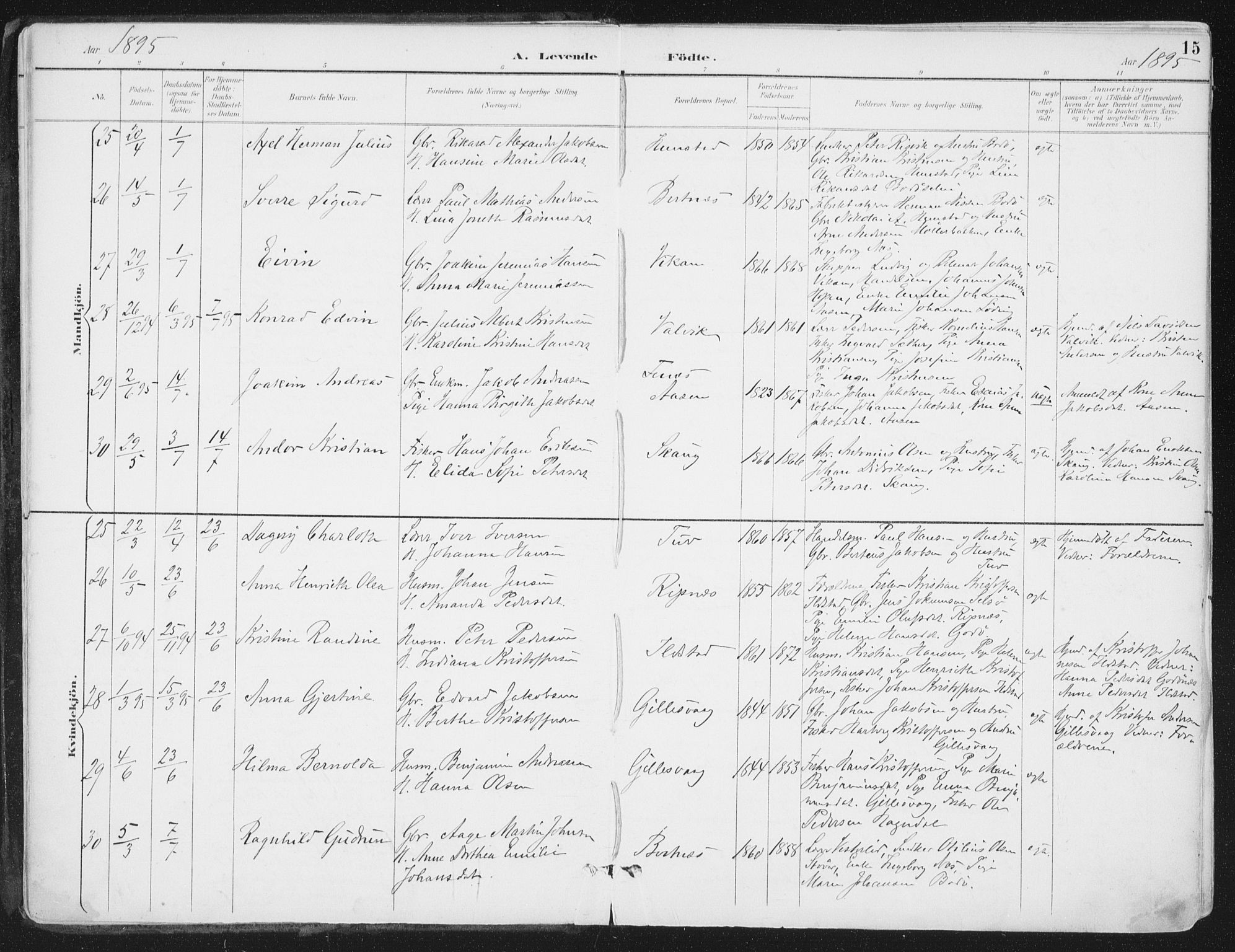 Ministerialprotokoller, klokkerbøker og fødselsregistre - Nordland, AV/SAT-A-1459/802/L0055: Parish register (official) no. 802A02, 1894-1915, p. 15