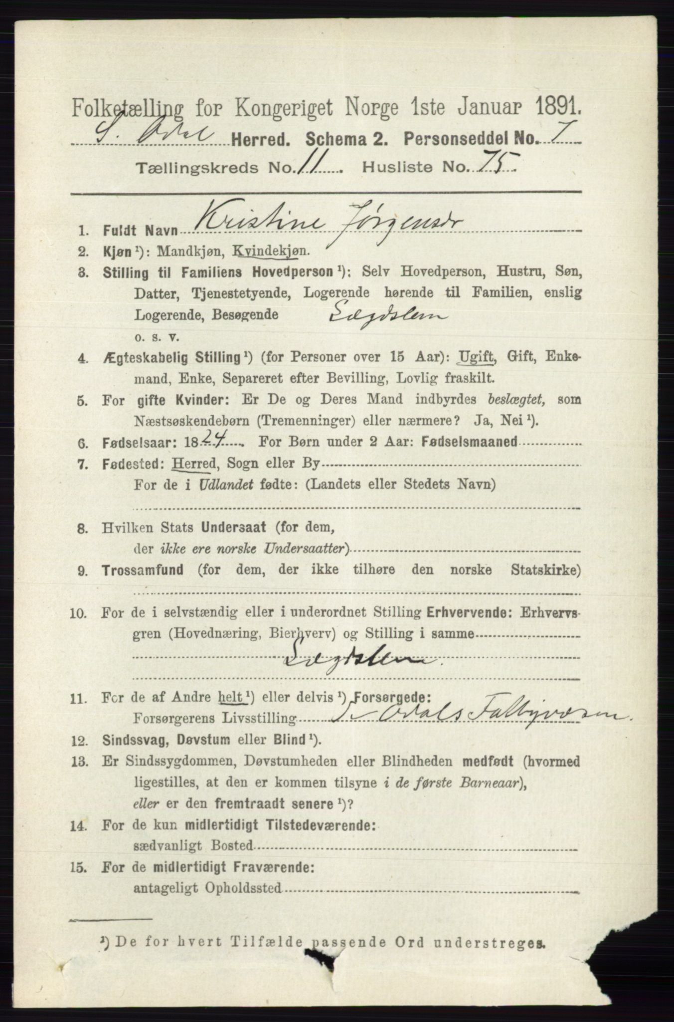 RA, 1891 census for 0419 Sør-Odal, 1891, p. 5364