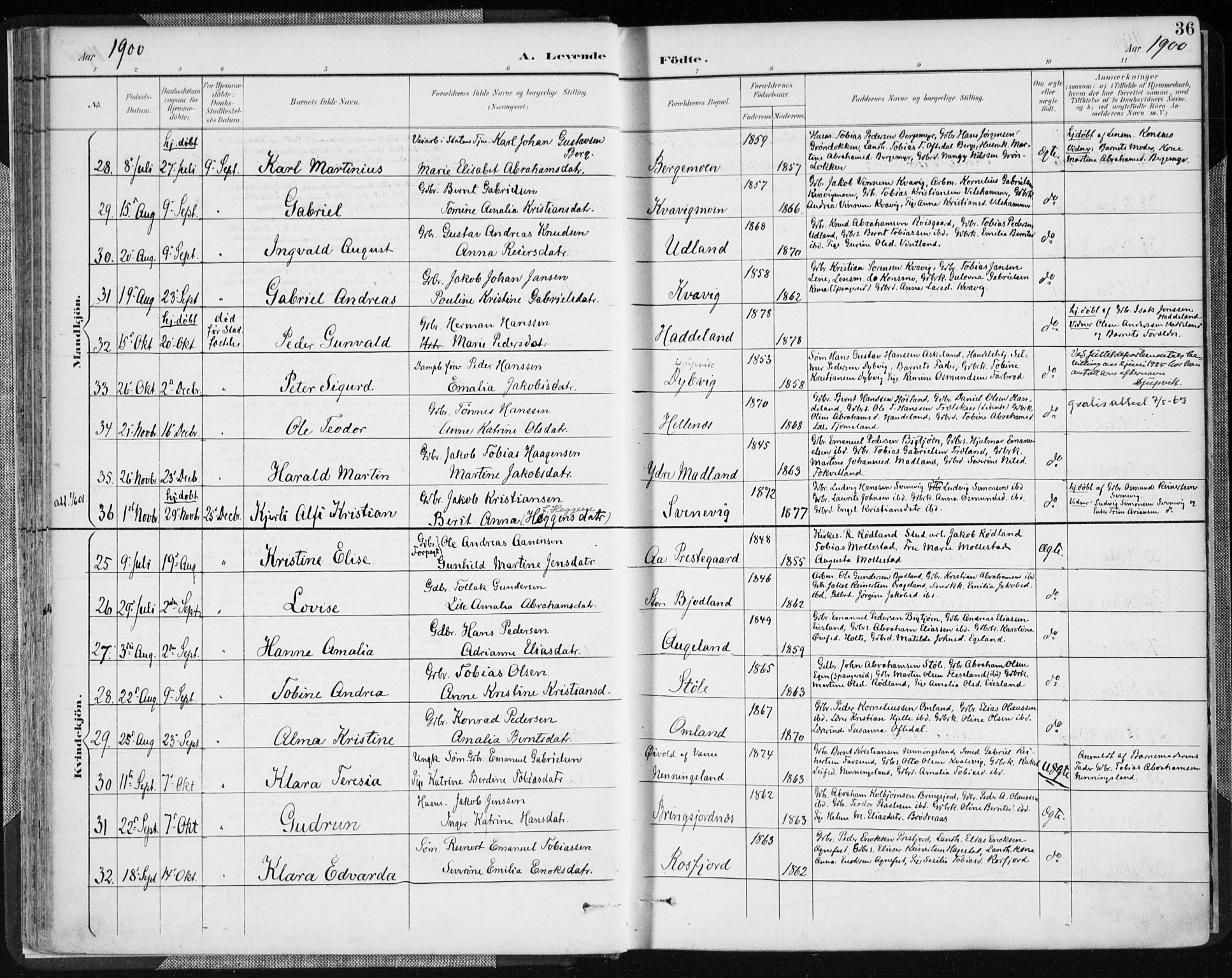 Lyngdal sokneprestkontor, AV/SAK-1111-0029/F/Fa/Fac/L0012: Parish register (official) no. A 12, 1894-1918, p. 36