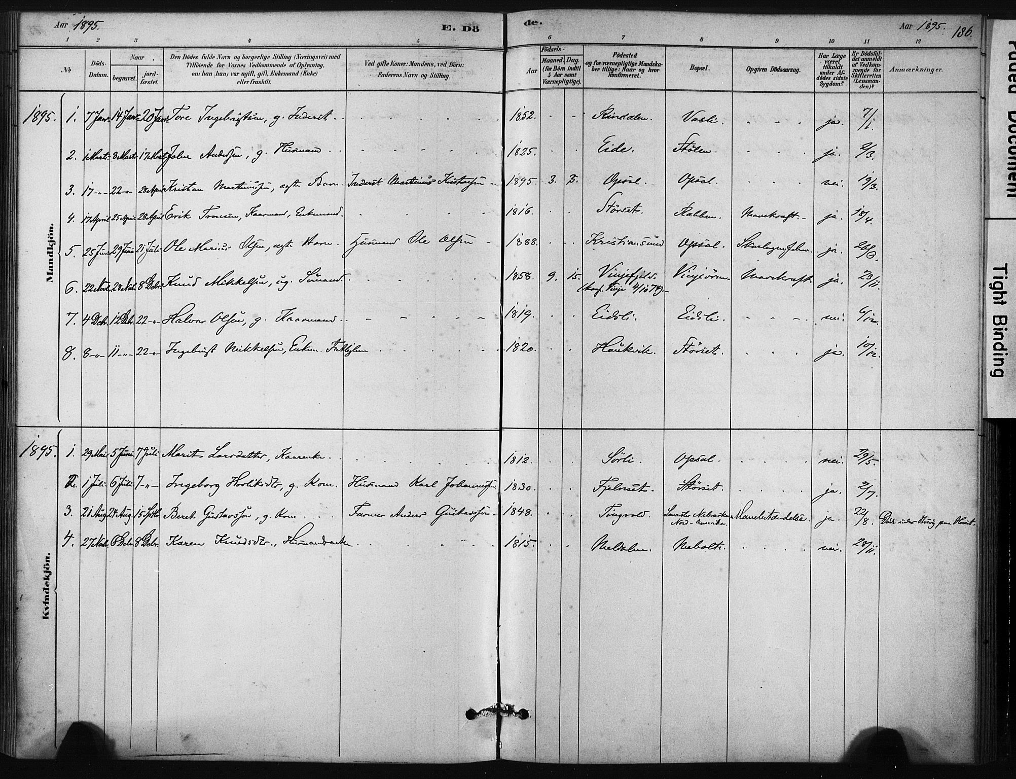 Ministerialprotokoller, klokkerbøker og fødselsregistre - Sør-Trøndelag, AV/SAT-A-1456/631/L0512: Parish register (official) no. 631A01, 1879-1912, p. 186