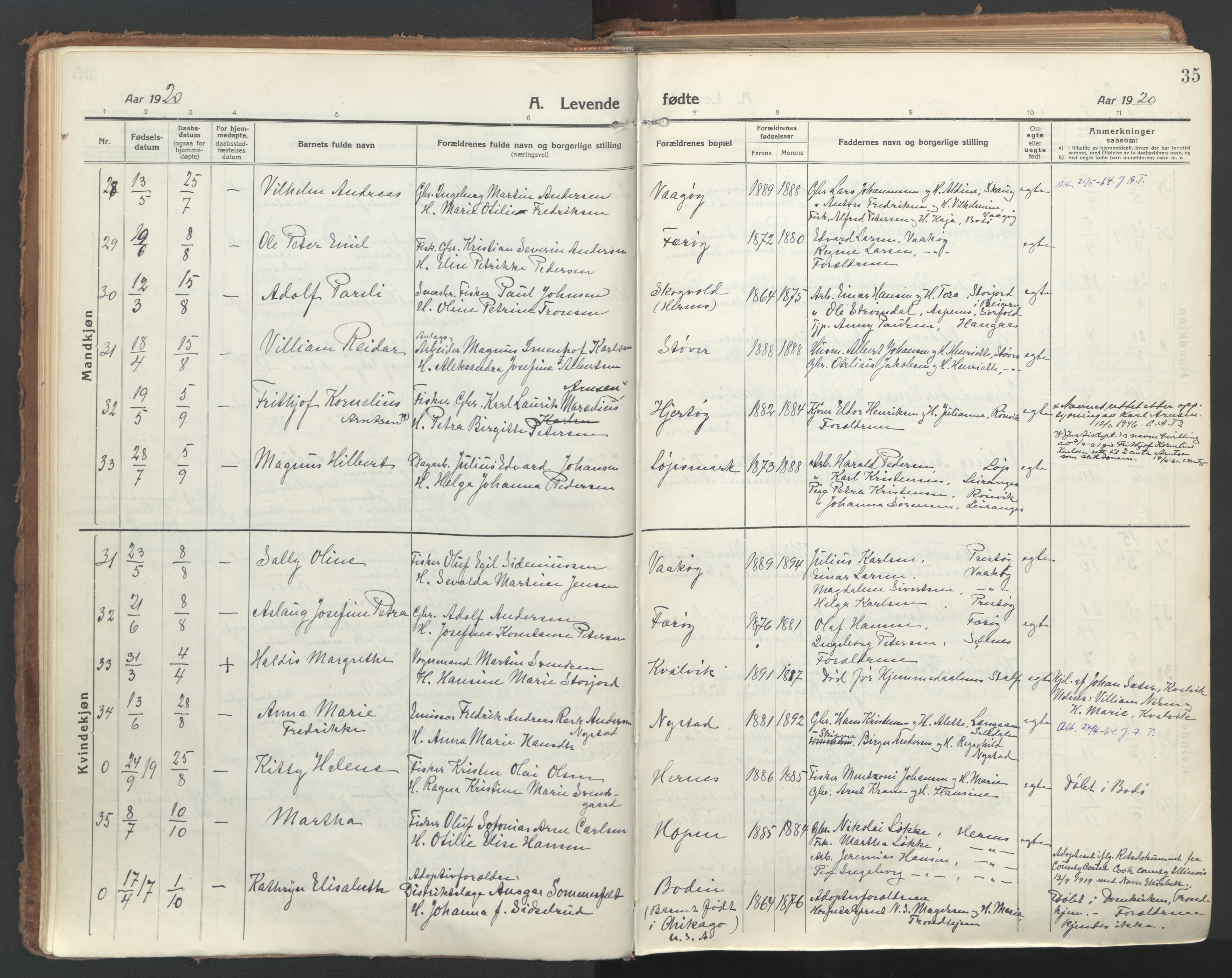 Ministerialprotokoller, klokkerbøker og fødselsregistre - Nordland, AV/SAT-A-1459/802/L0060: Parish register (official) no. 802A07, 1916-1933, p. 35