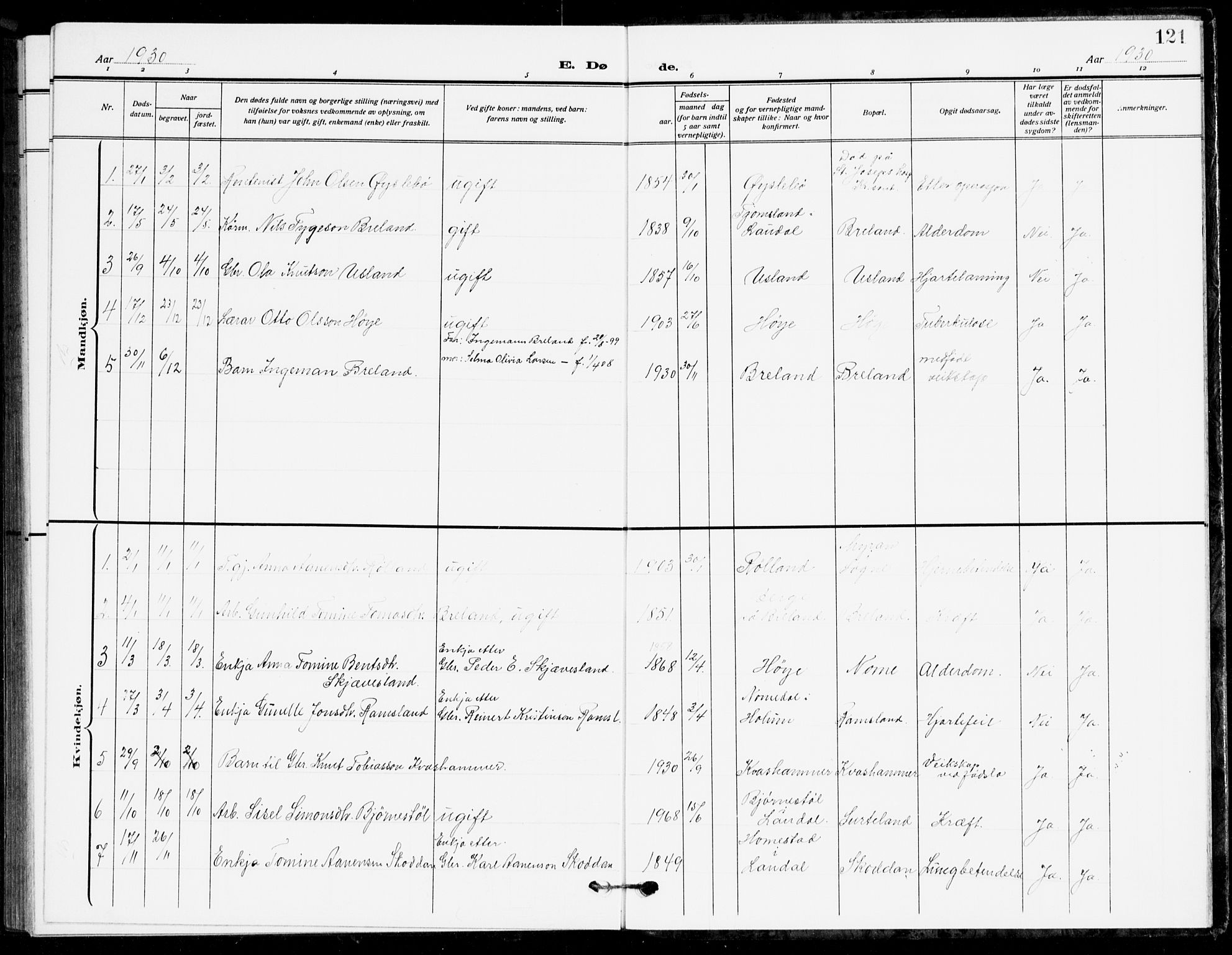 Holum sokneprestkontor, SAK/1111-0022/F/Fb/Fbc/L0004: Parish register (copy) no. B 4, 1908-1930, p. 121
