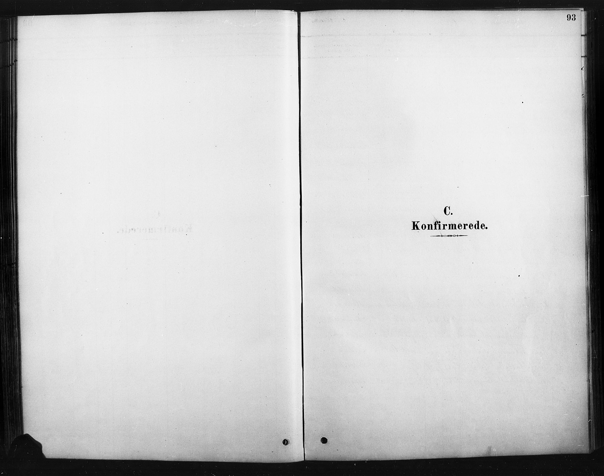 Rendalen prestekontor, SAH/PREST-054/H/Ha/Haa/L0010: Parish register (official) no. 10, 1878-1901, p. 93