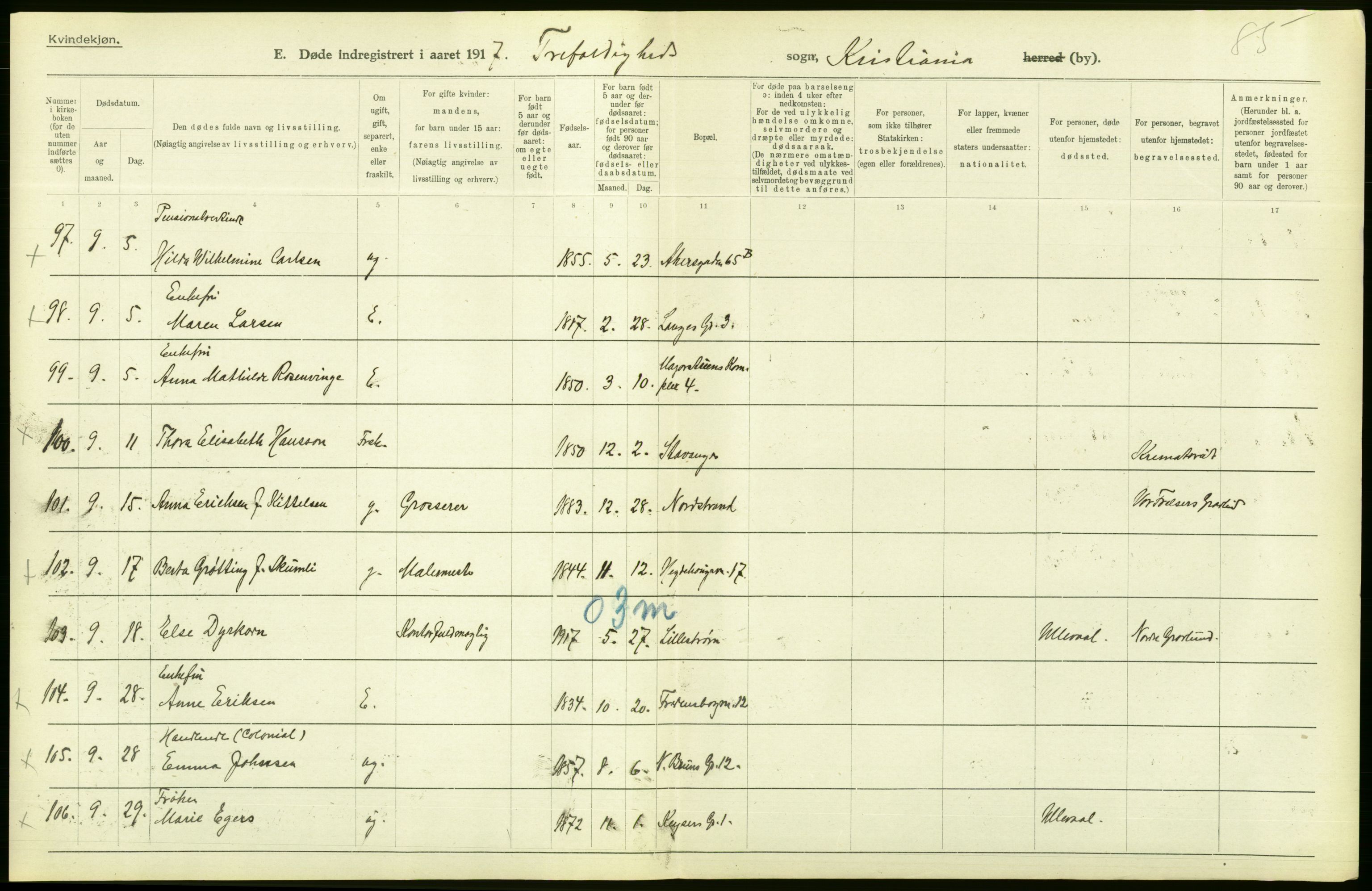 Statistisk sentralbyrå, Sosiodemografiske emner, Befolkning, AV/RA-S-2228/D/Df/Dfb/Dfbg/L0010: Kristiania: Døde, 1917, p. 48