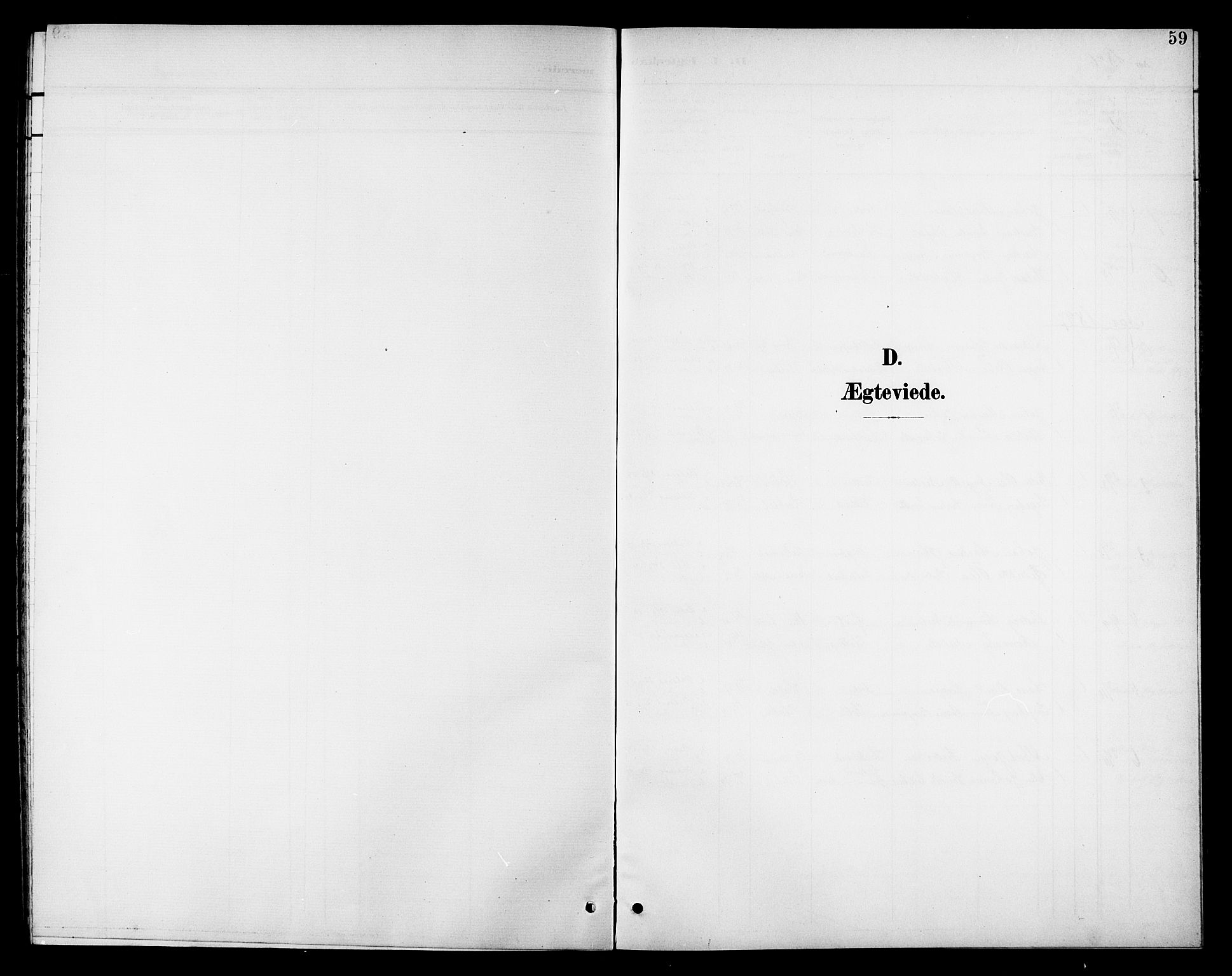 Ministerialprotokoller, klokkerbøker og fødselsregistre - Nordland, SAT/A-1459/811/L0170: Parish register (copy) no. 811C02, 1896-1908, p. 59