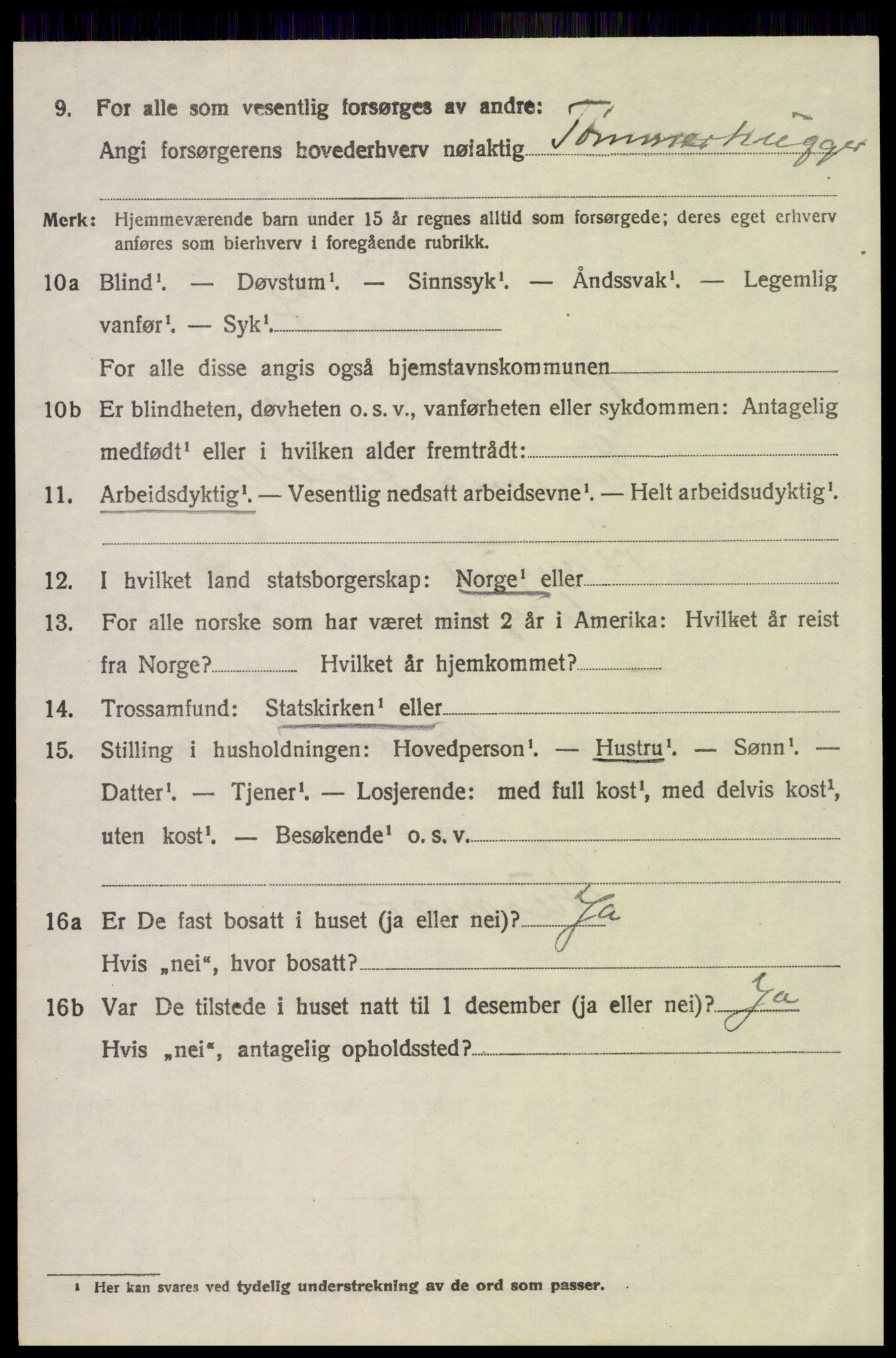 SAH, 1920 census for Trysil, 1920, p. 4648