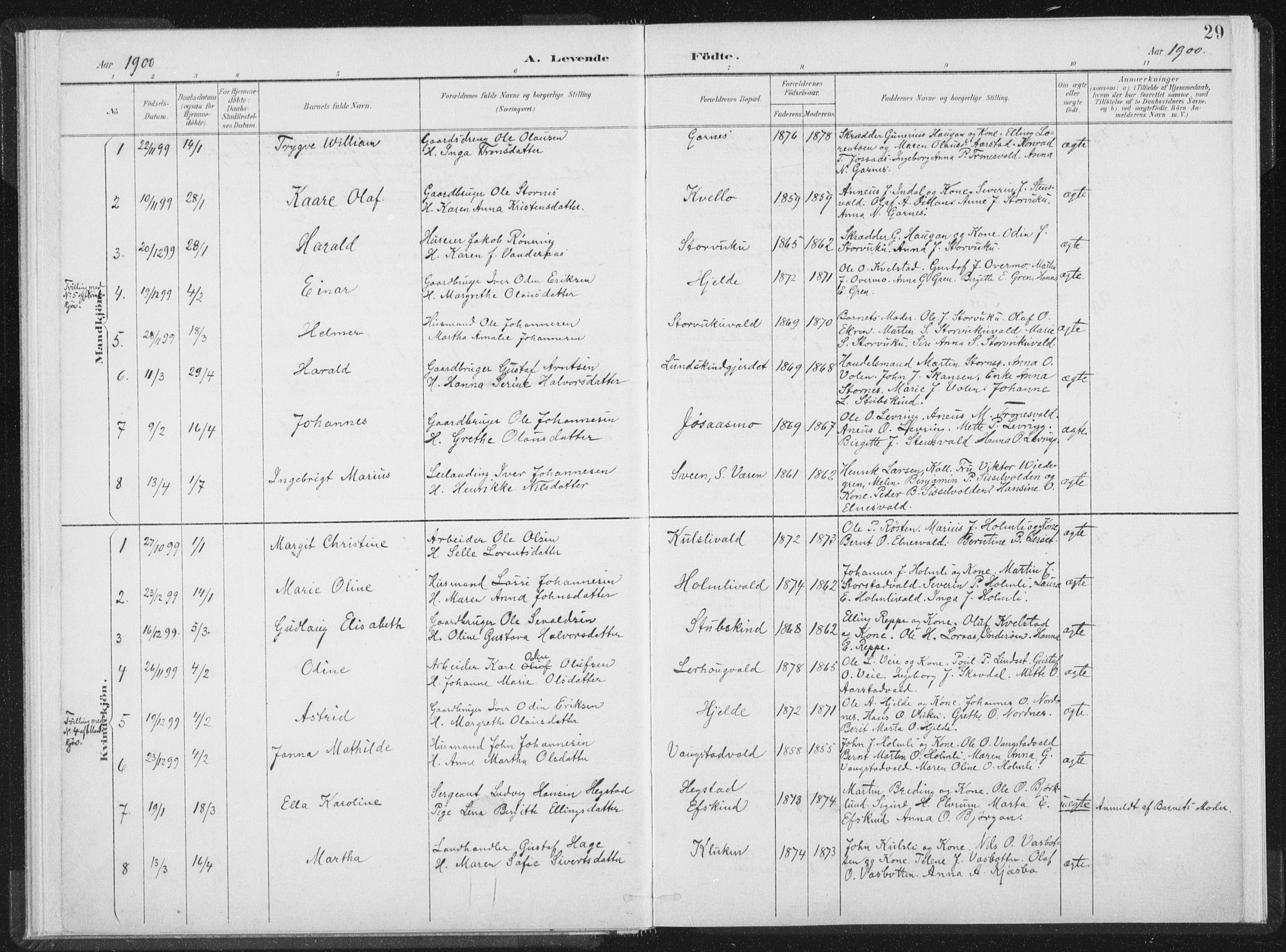 Ministerialprotokoller, klokkerbøker og fødselsregistre - Nord-Trøndelag, SAT/A-1458/724/L0263: Parish register (official) no. 724A01, 1891-1907, p. 29