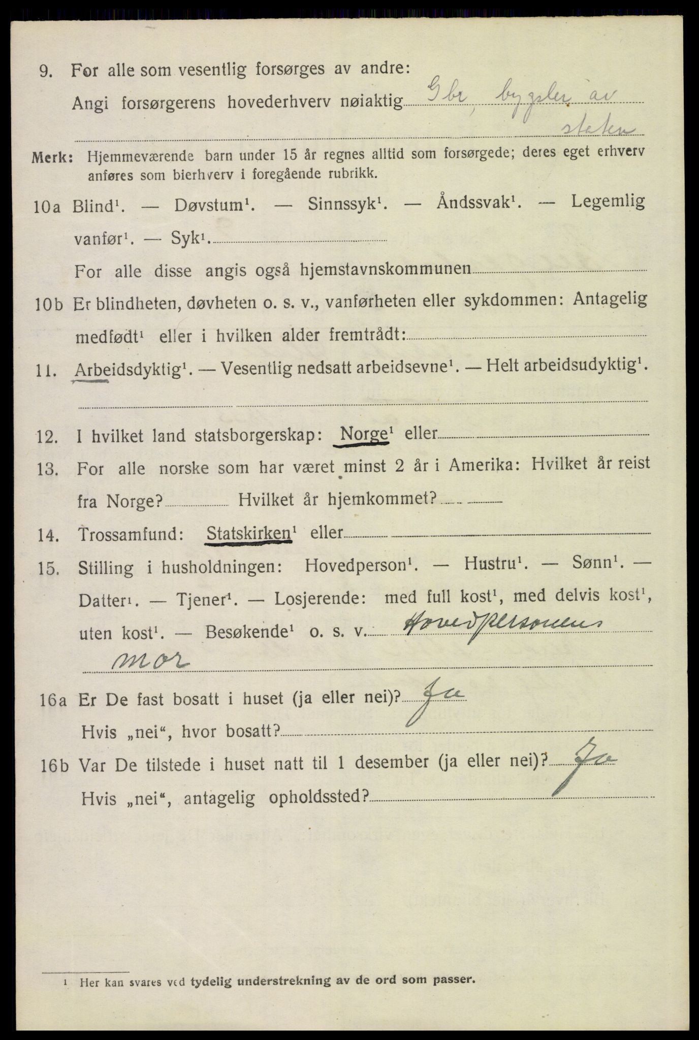 SAH, 1920 census for Engerdal, 1920, p. 1556
