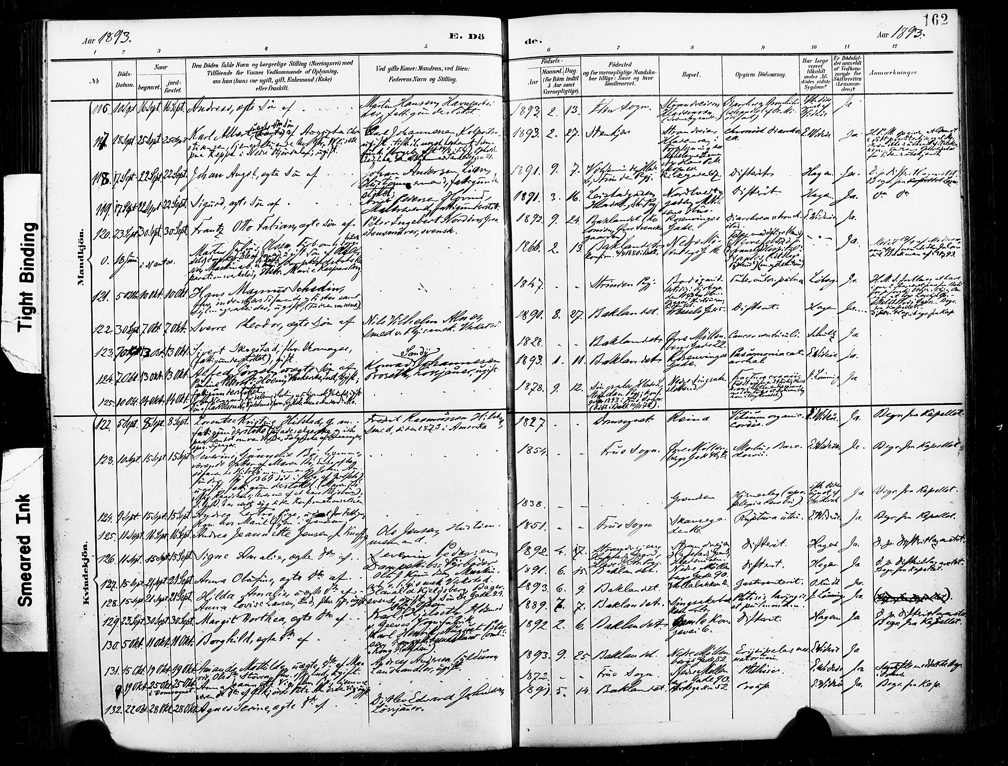 Ministerialprotokoller, klokkerbøker og fødselsregistre - Sør-Trøndelag, AV/SAT-A-1456/604/L0198: Parish register (official) no. 604A19, 1893-1900, p. 162