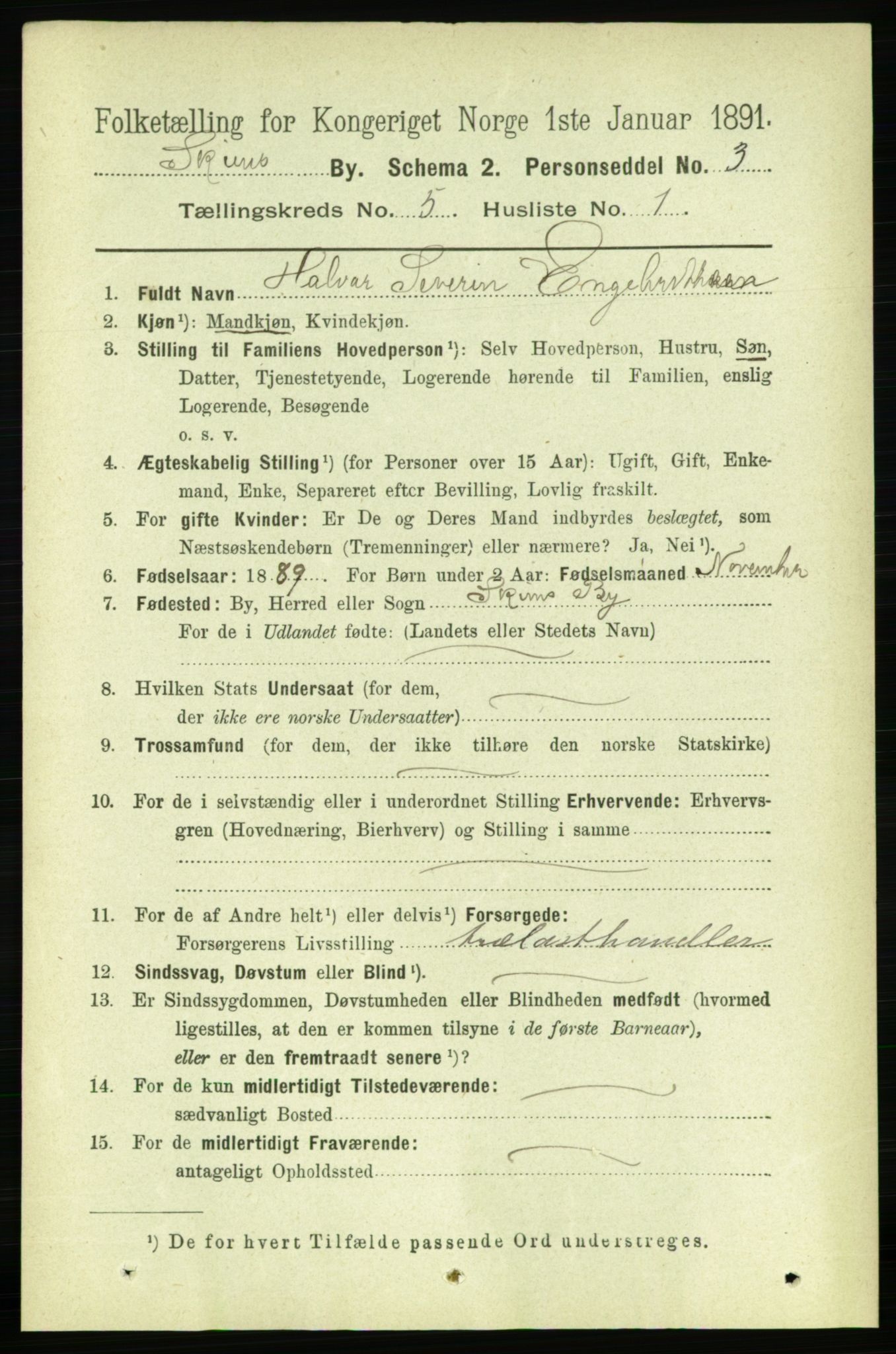 RA, 1891 census for 0806 Skien, 1891, p. 2883