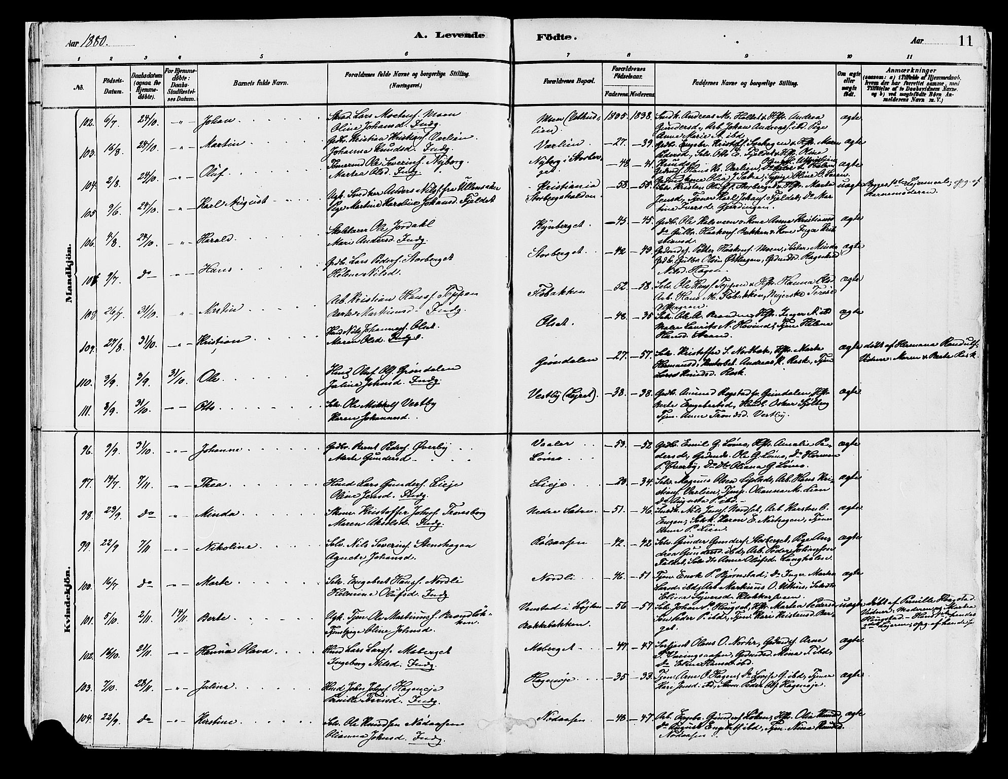 Elverum prestekontor, AV/SAH-PREST-044/H/Ha/Haa/L0013: Parish register (official) no. 13, 1880-1890, p. 11