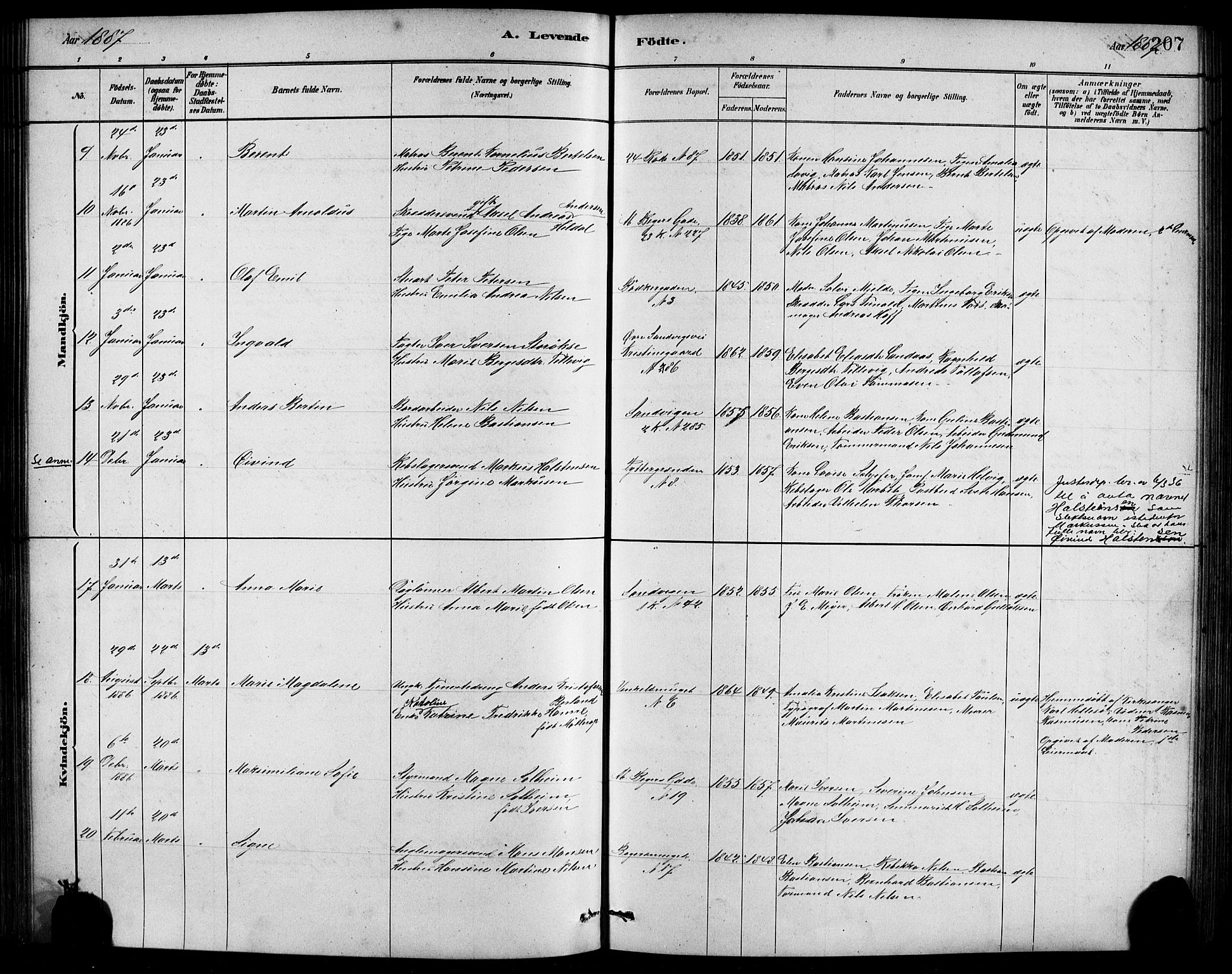 Sandviken Sokneprestembete, AV/SAB-A-77601/H/Hb/L0001: Parish register (copy) no. A 2, 1879-1892, p. 207